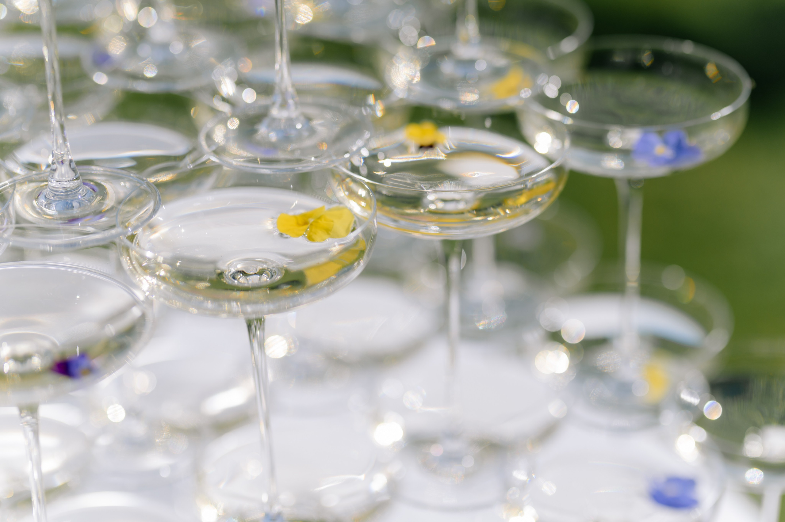 Денис и Юлия. Свадебный фотограф Минск, Пинск, Брест, Гродно Чернигов Андрей