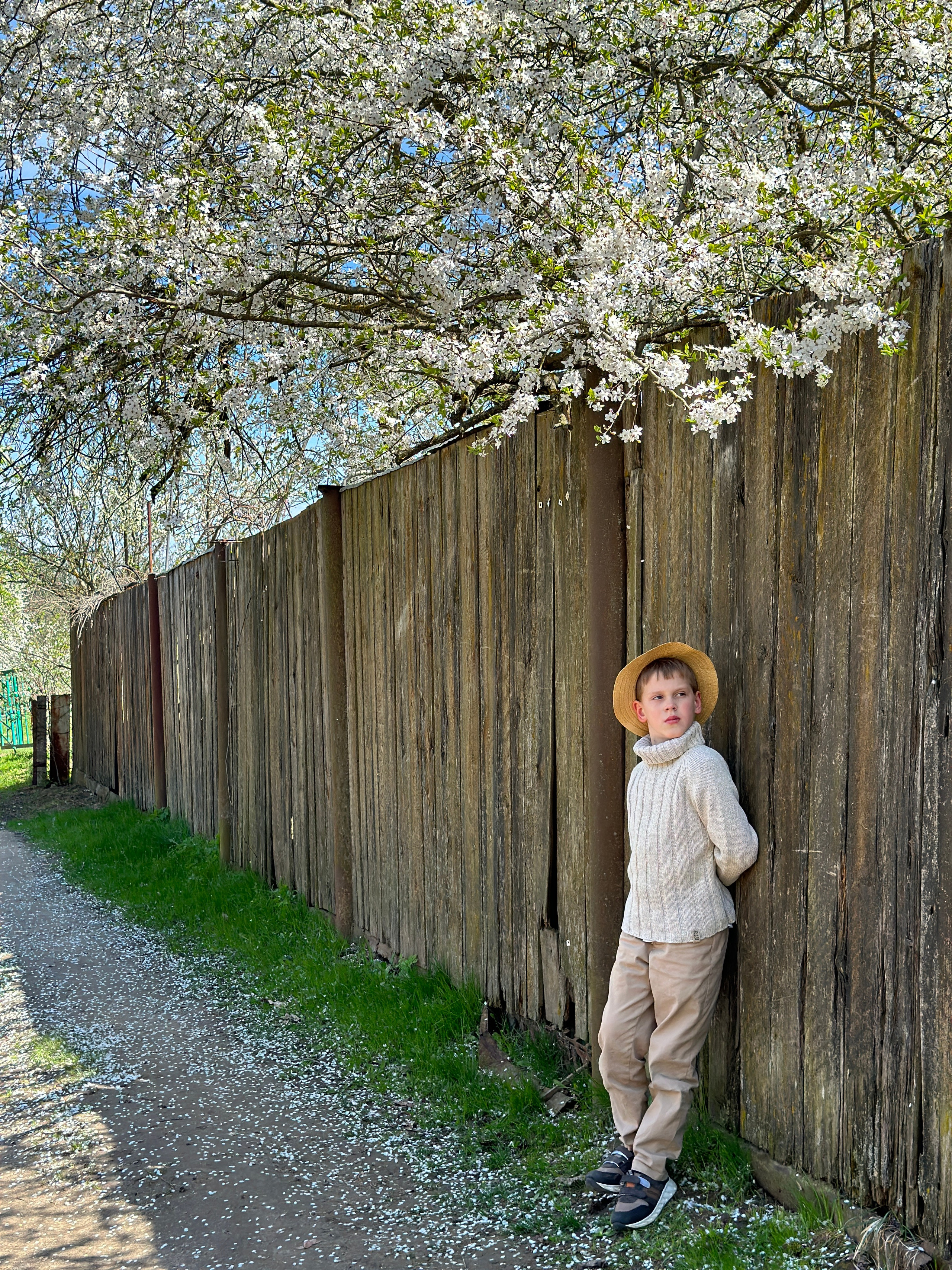 Стоимость и условия съемки. Семейный и детский фотограф в Минске Владыко Татьяна