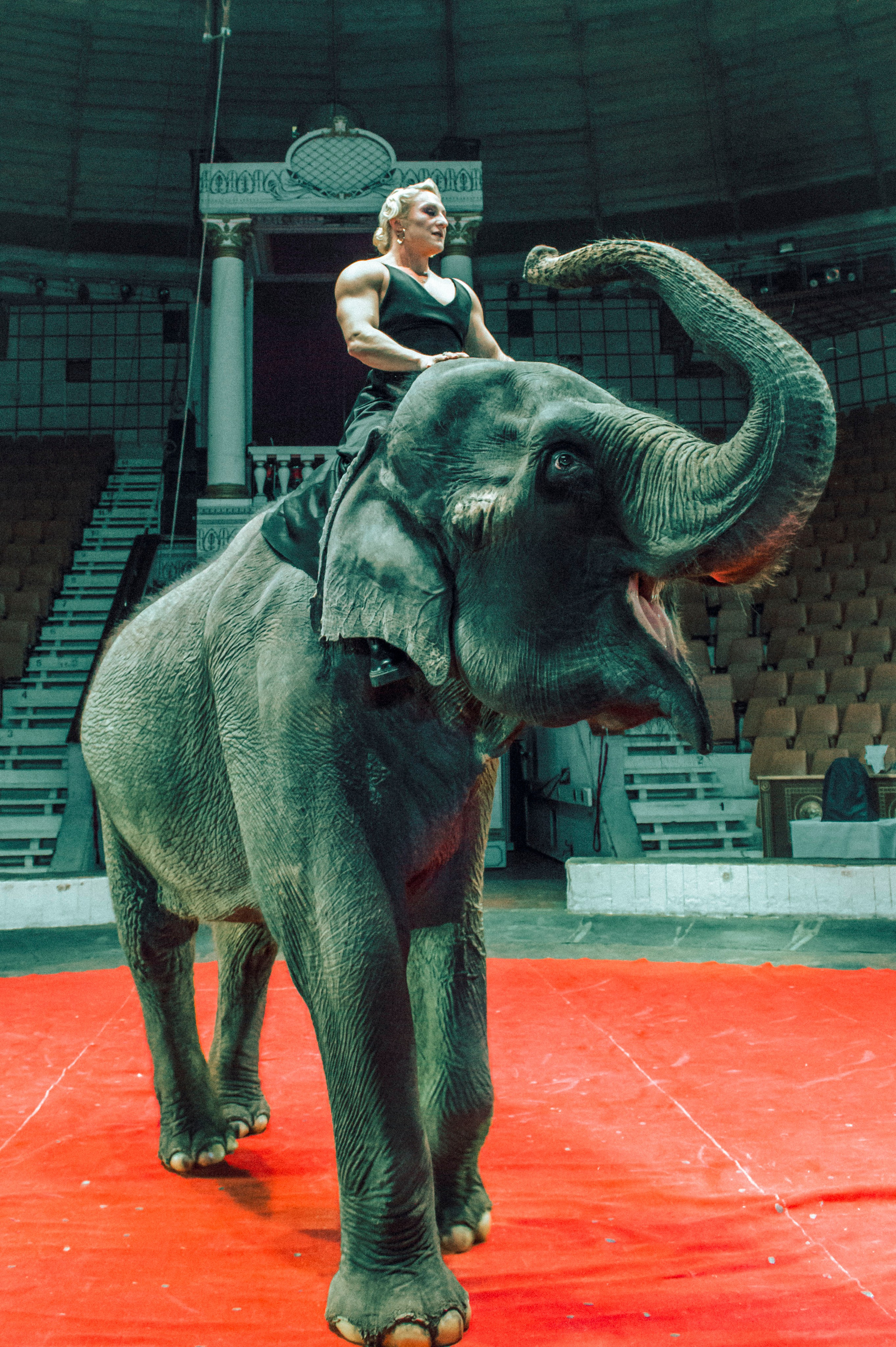 Екатерина. Главная