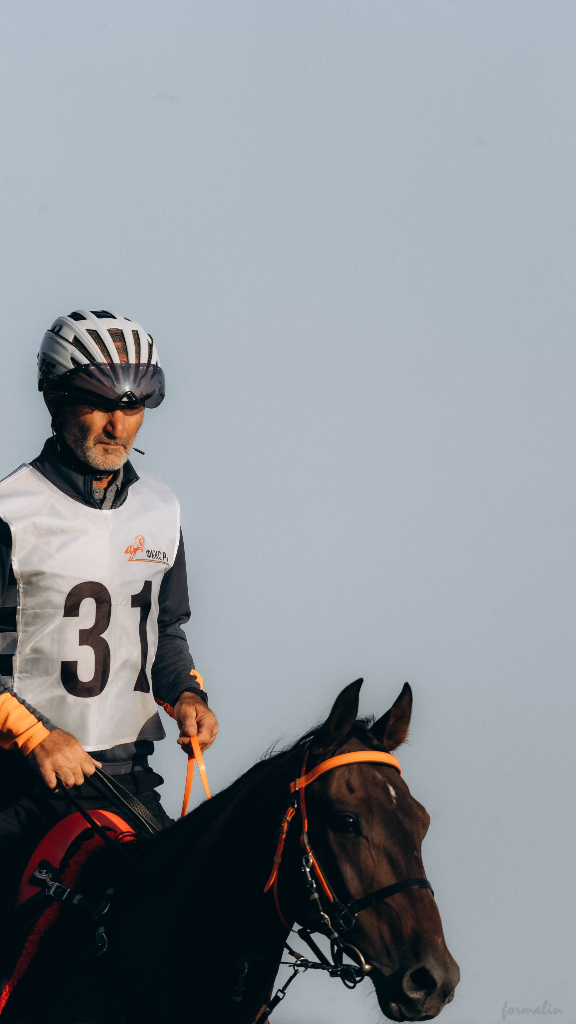 День Коня. Алиса Никитцова | Фотограф в Казани