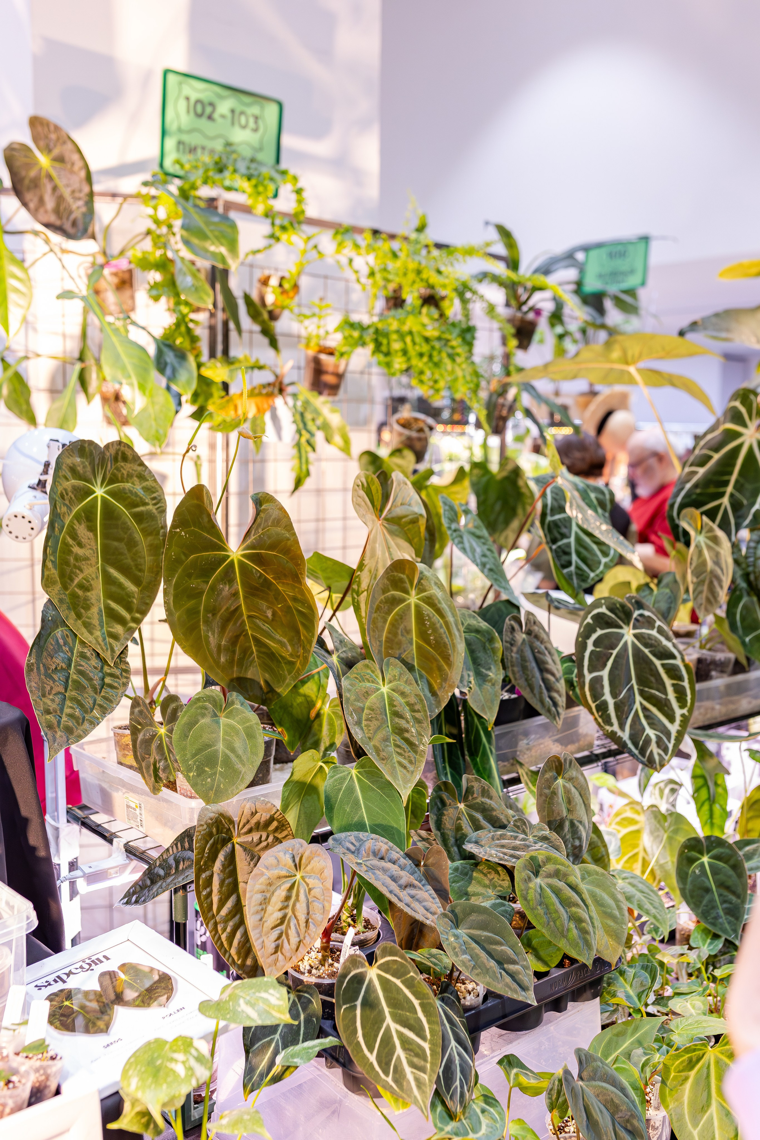 Монстериум апрель 2026. Александра Куликова фотограф, Москва