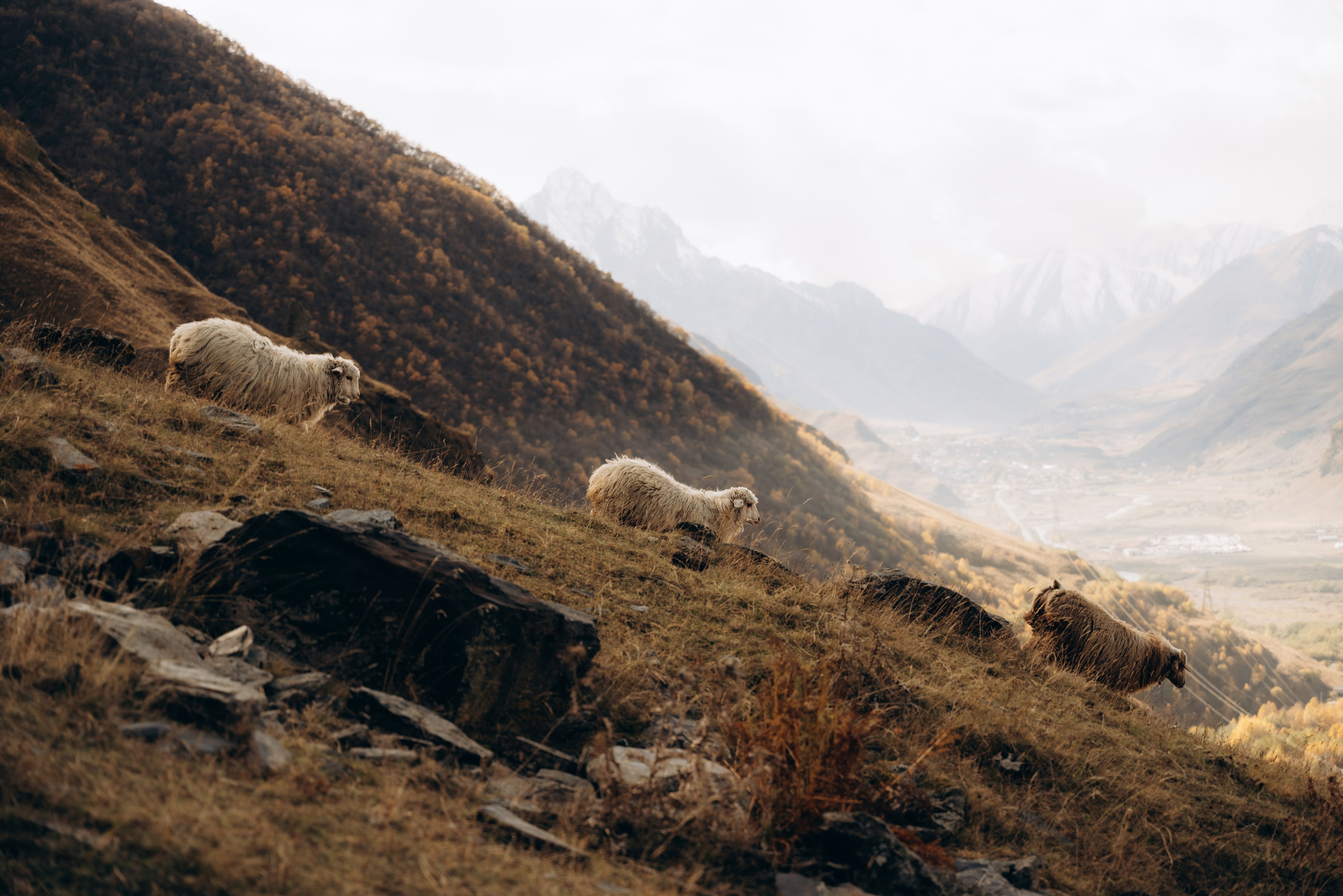Грузия. Фотограф в Минске — Мария Миллс