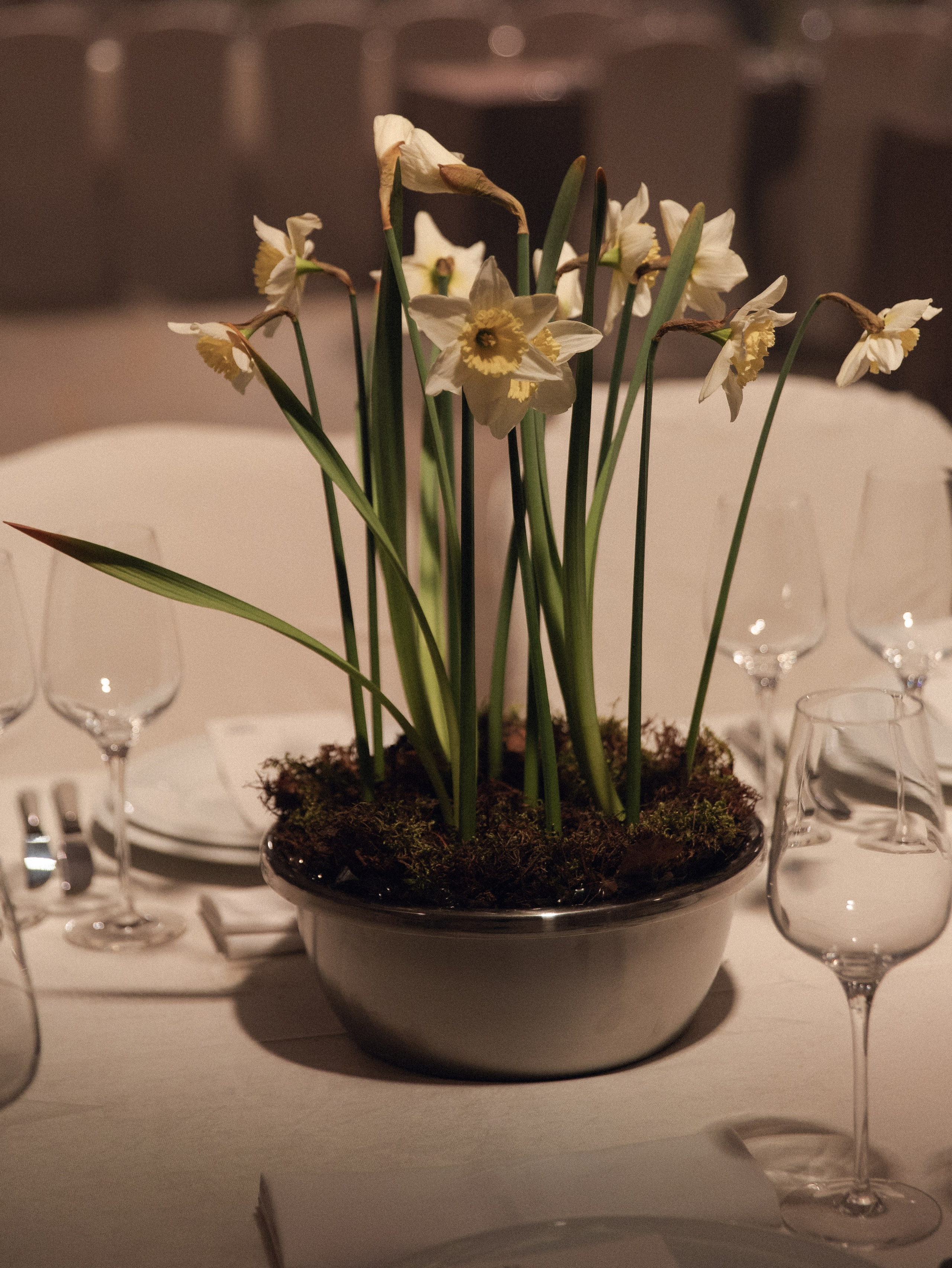 WA Черноземье