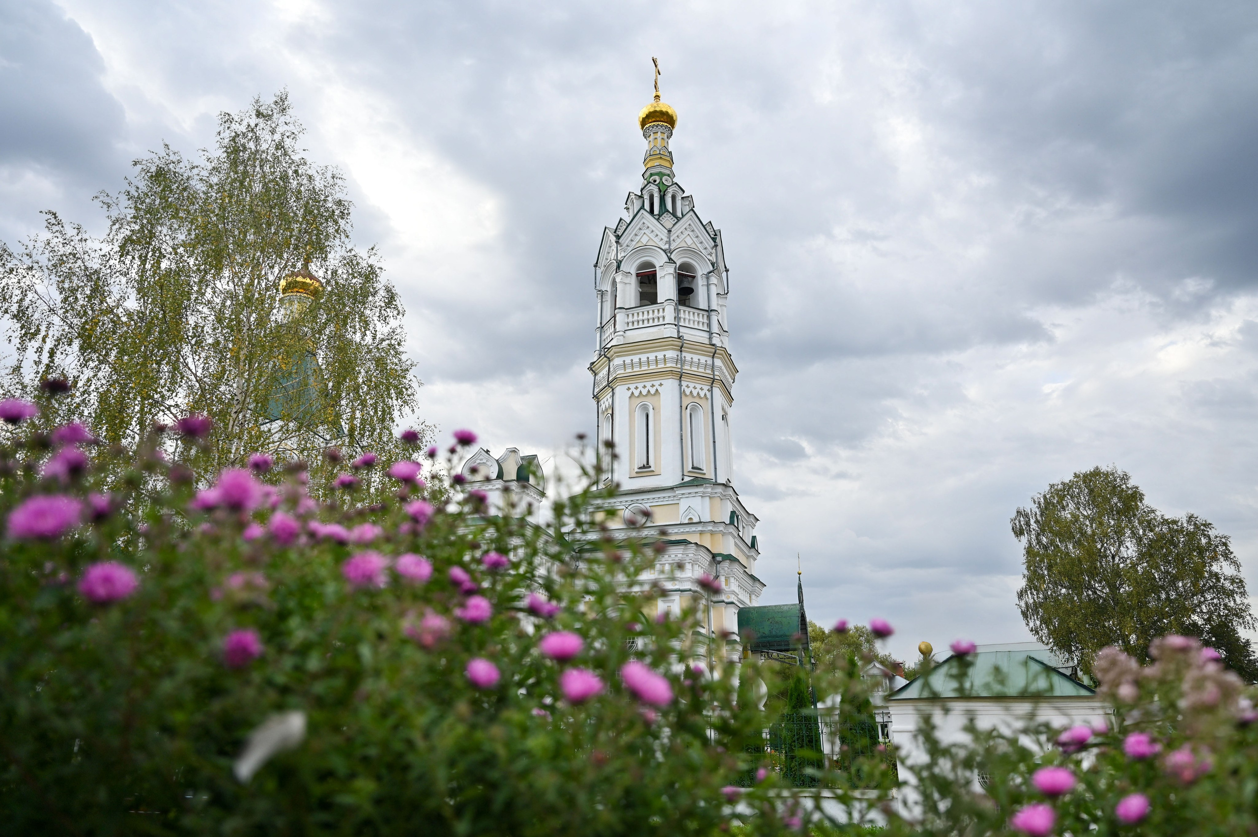 Престольный праздник в честь Александра Невского с. Ванилово. Семейный фотограф в г. Воскресенск Наталия Молева
