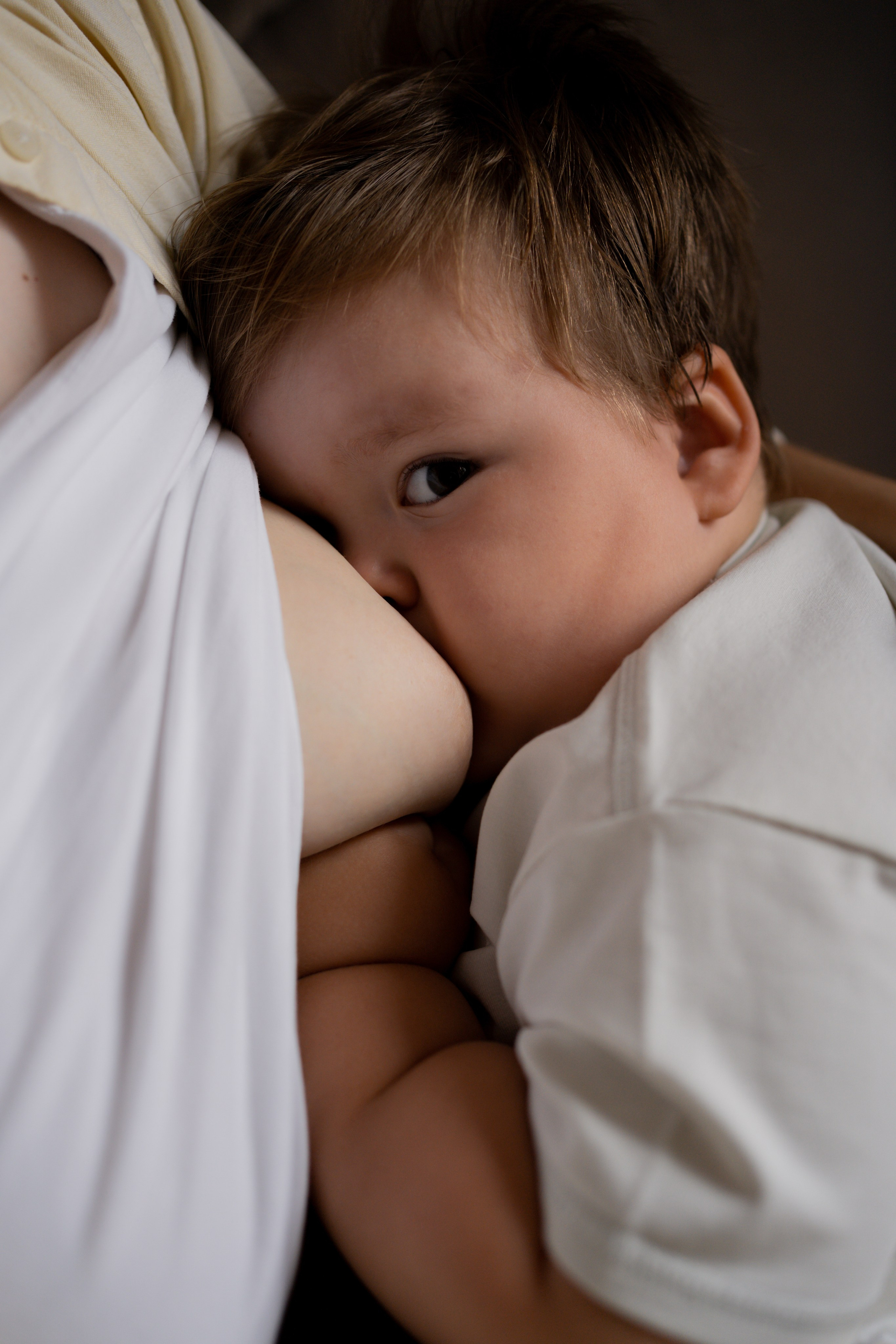 Алина и Дима. Фотограф грудного вскармливания в Москве Екатерина