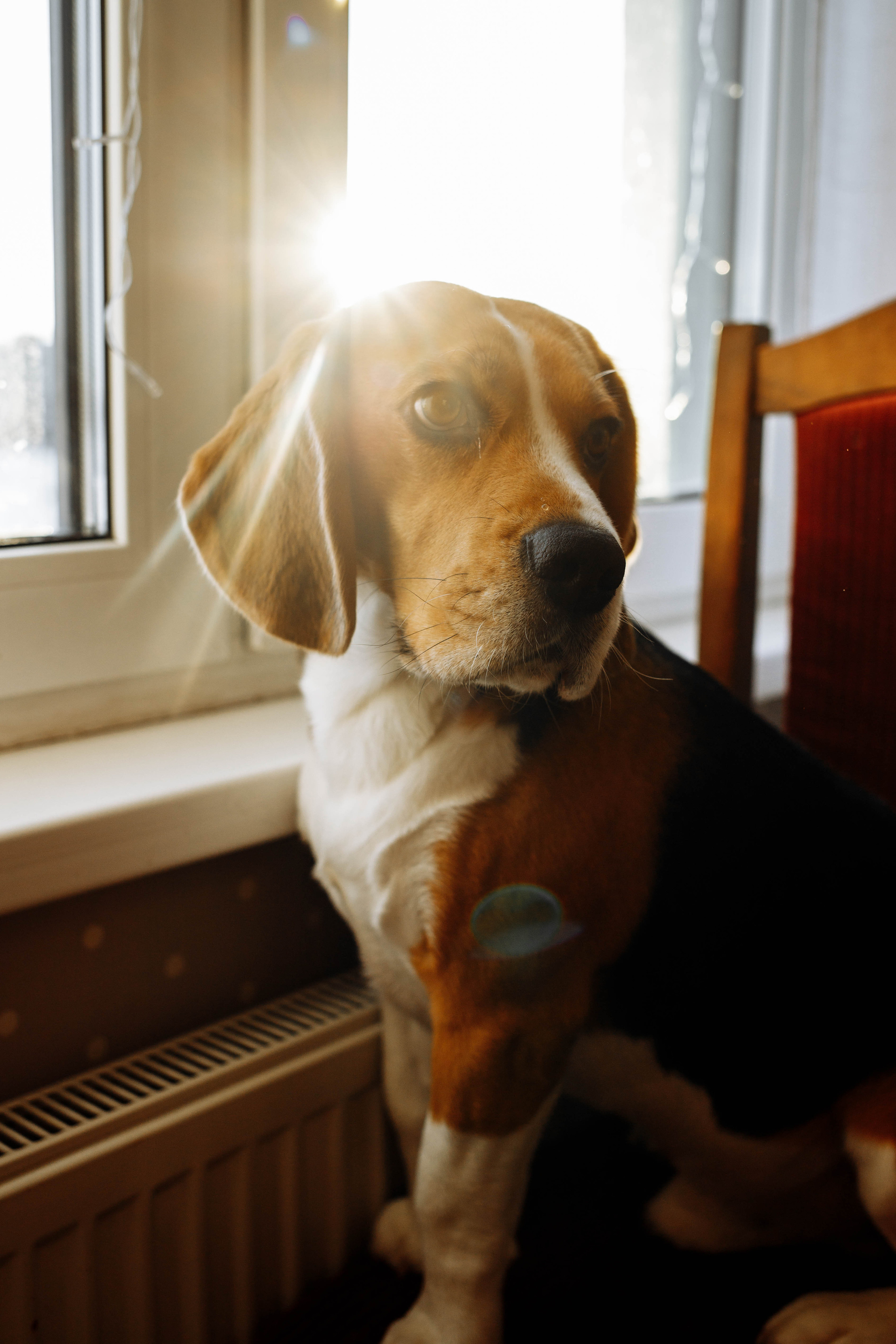 HOME SERIES. Портретный фотограф в Санкт-Петербурге