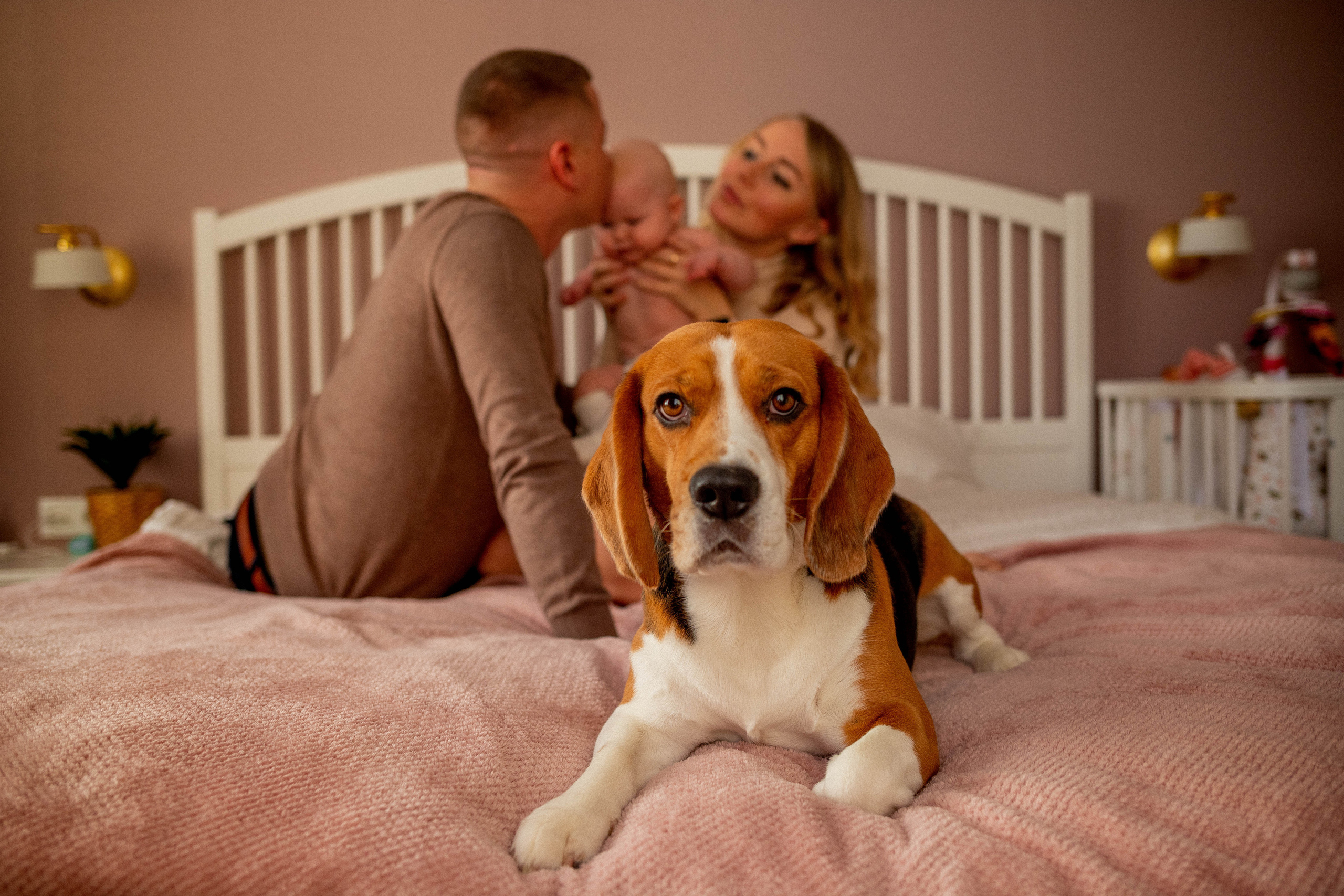 HOME SERIES. Портретный фотограф в Санкт-Петербурге