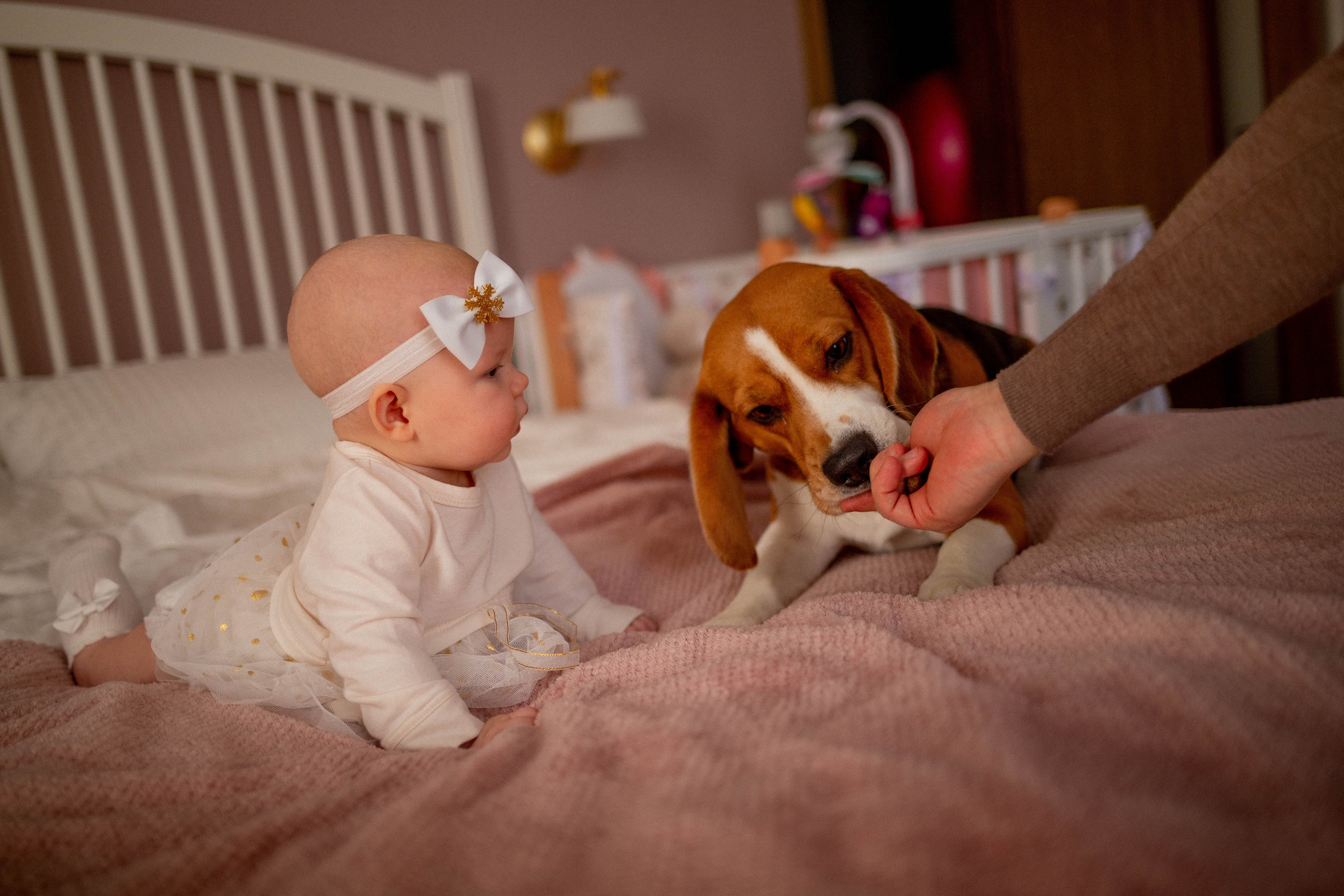 HOME SERIES. Портретный фотограф в Санкт-Петербурге