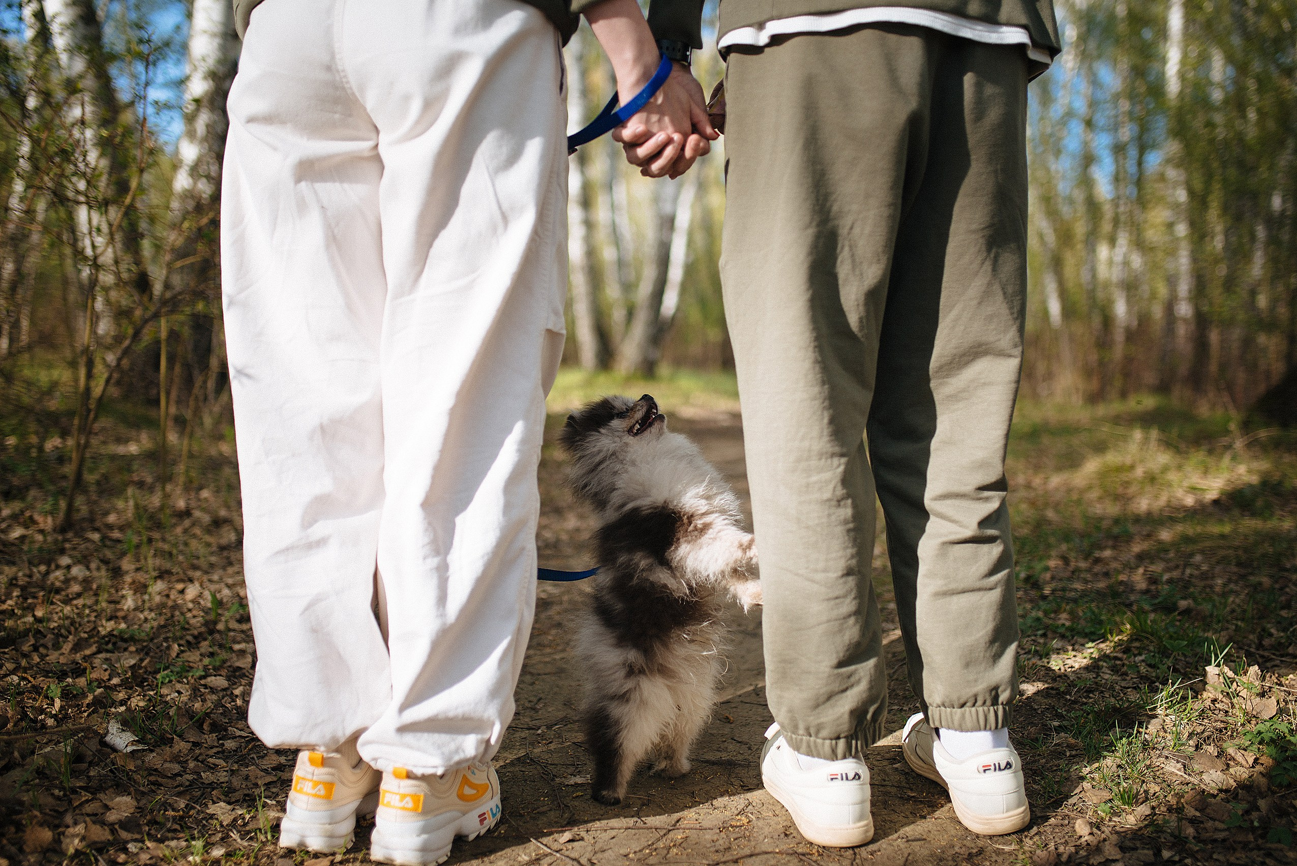 Прогулочная фотосессия lovestory с собачкой. Семейный фотограф Дарья Едапина Новосибирск. Фотограф Дарья Едапина Новосибирск