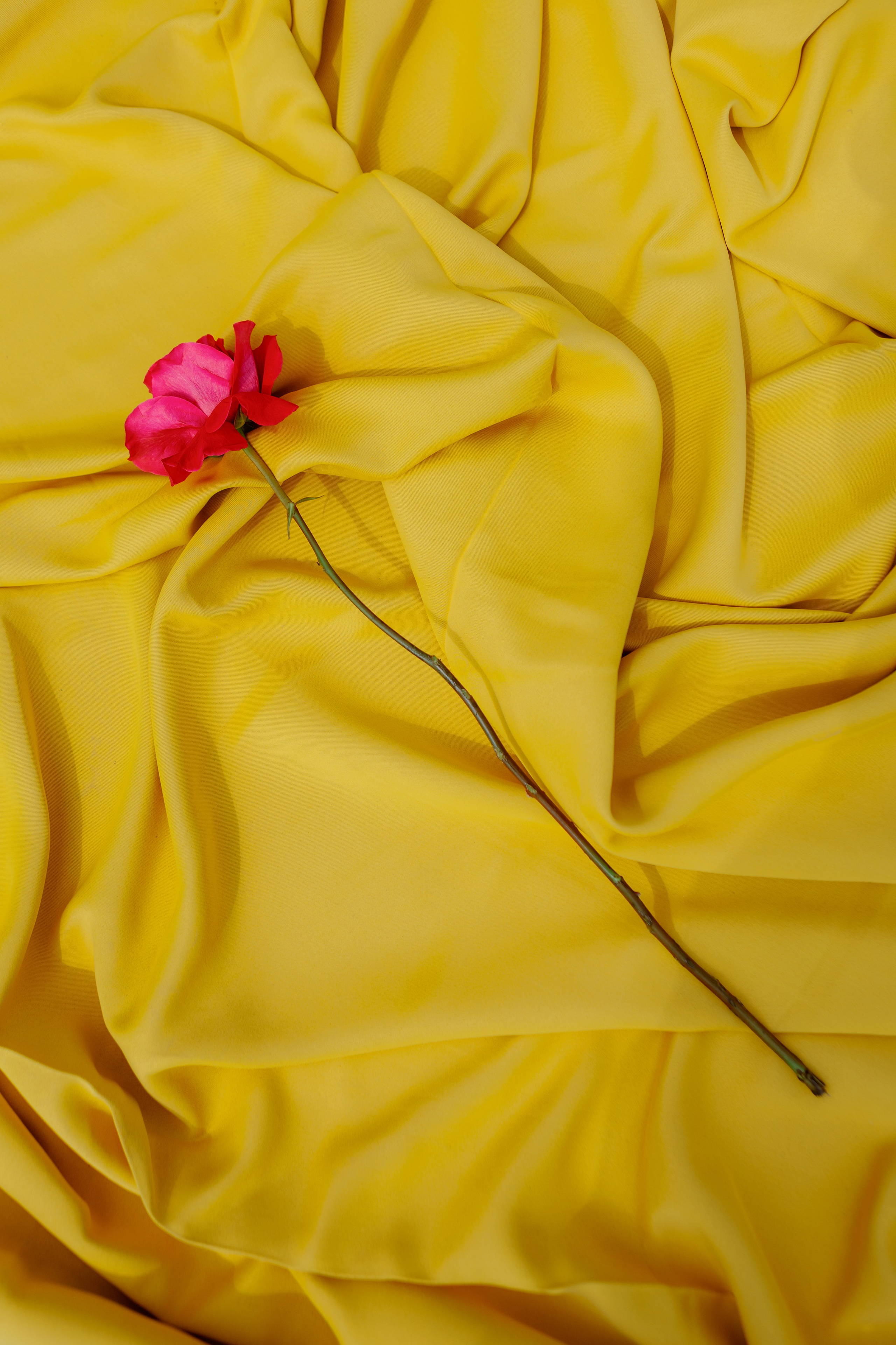 В|A | 06.06.2025 | МО, Шаховская. МашаШарики | Декоратор | Москва