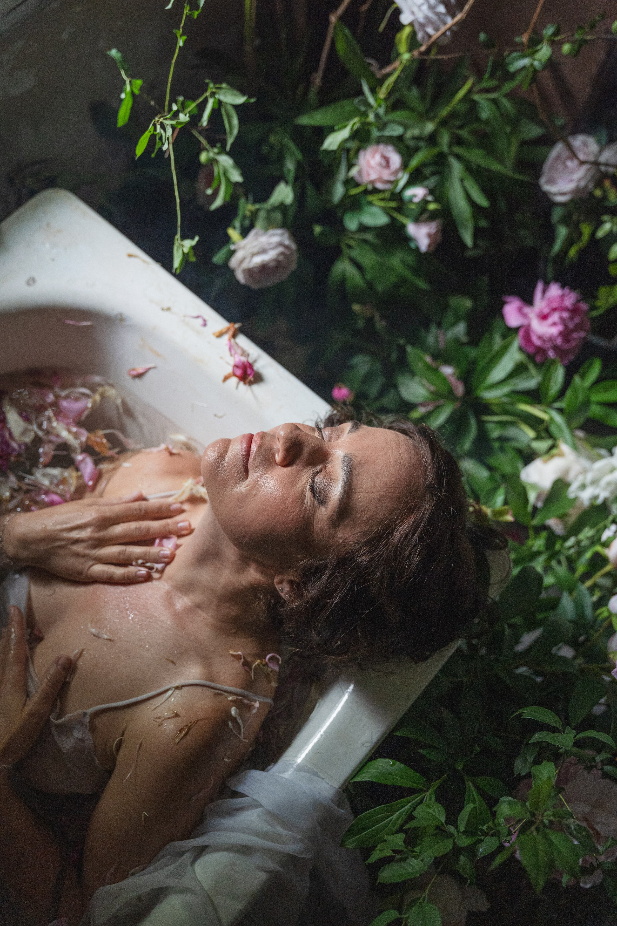 Мария ренессанс. Главная