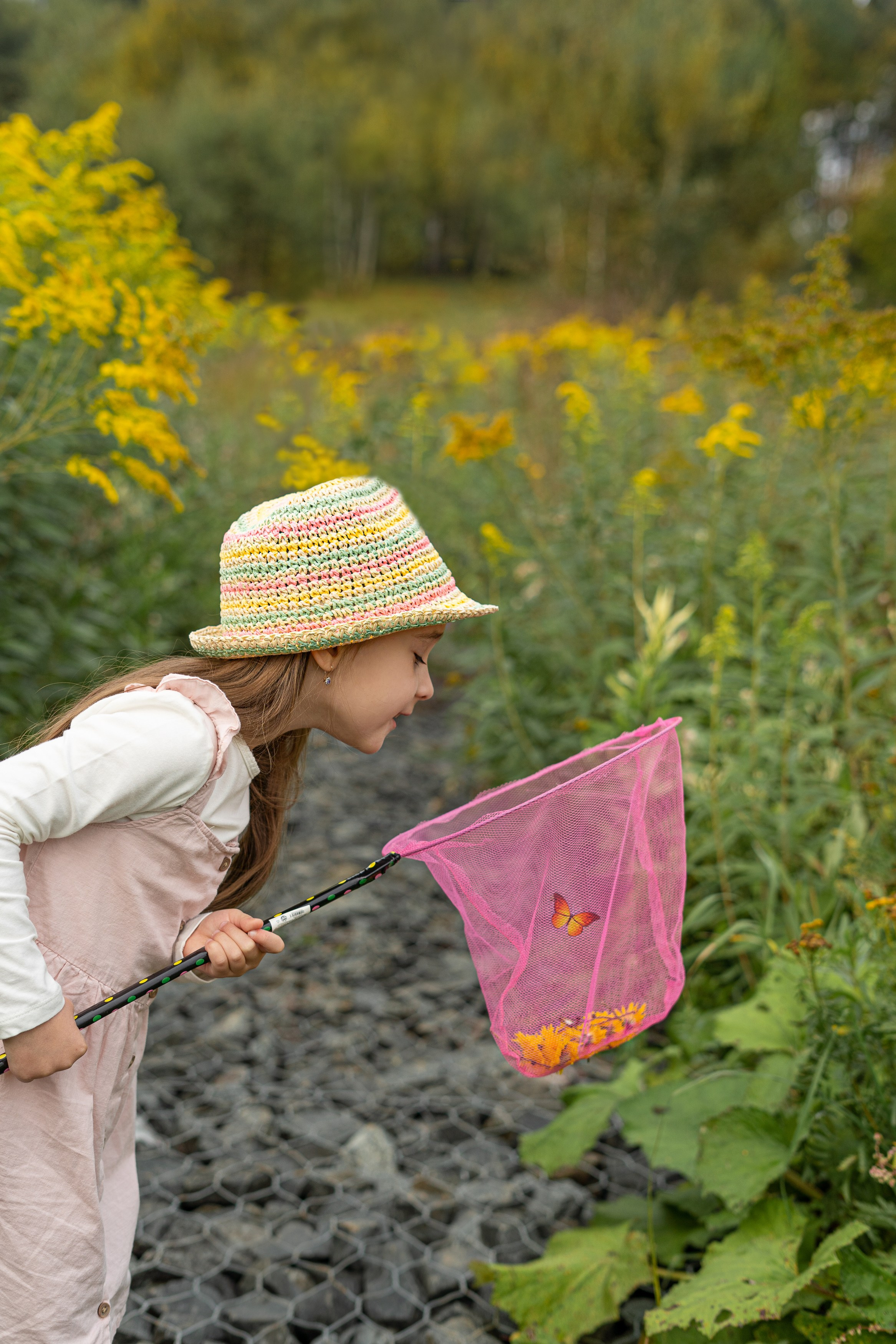 Осеннее ожидание. Главная