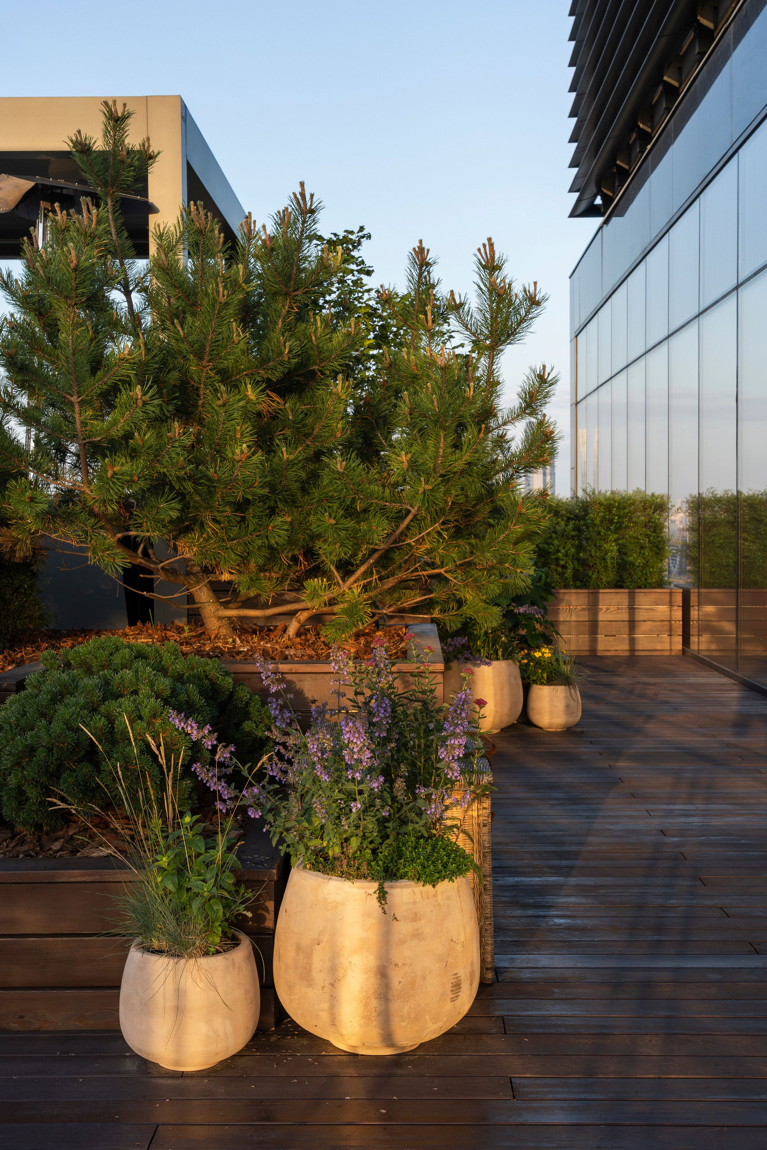 Brusnika office terrace, Moscow. Артамонов Александр | Архитектурный и ландшафтный фотограф