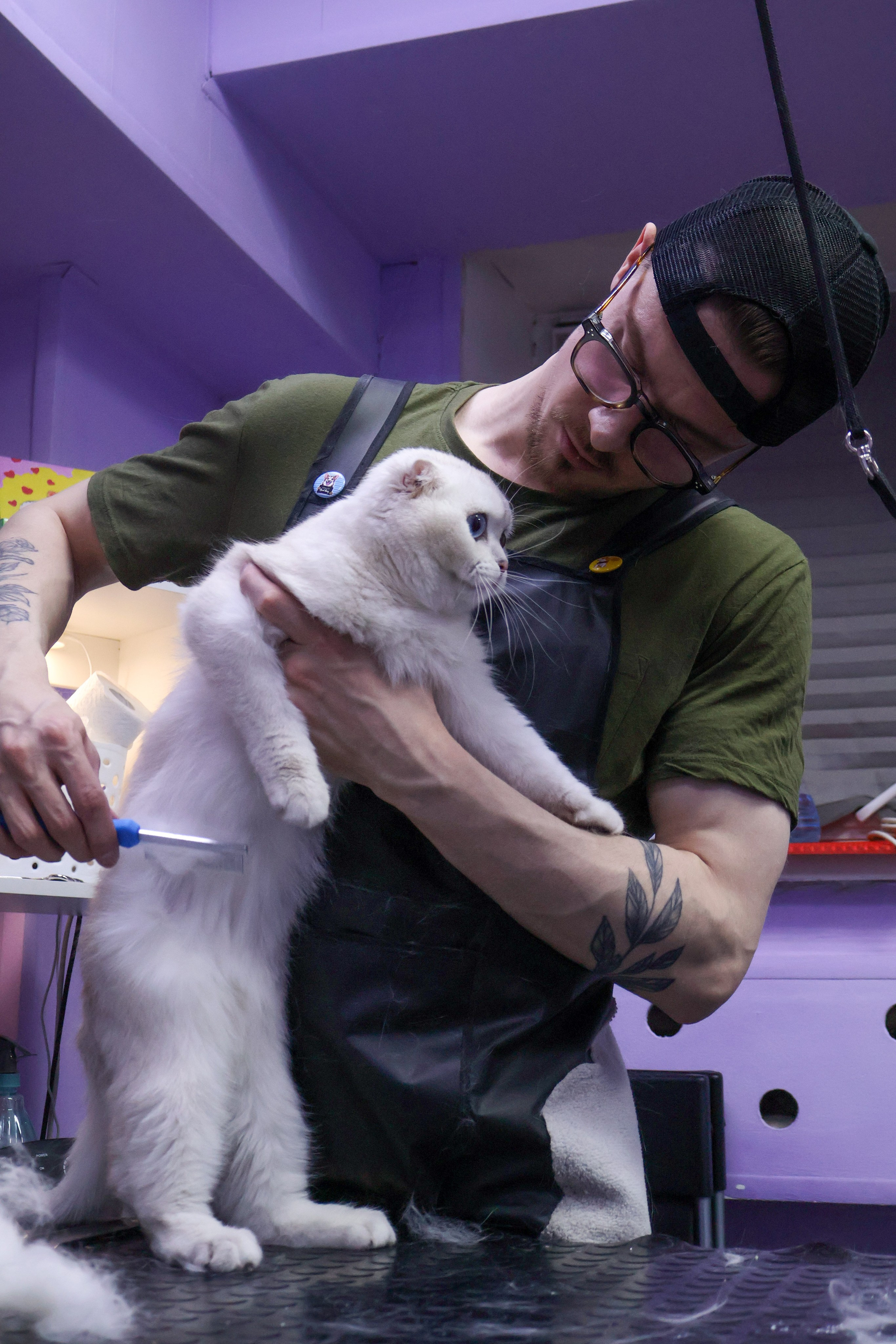 Усы, лапы, хвост. Фотограф ChelFedor