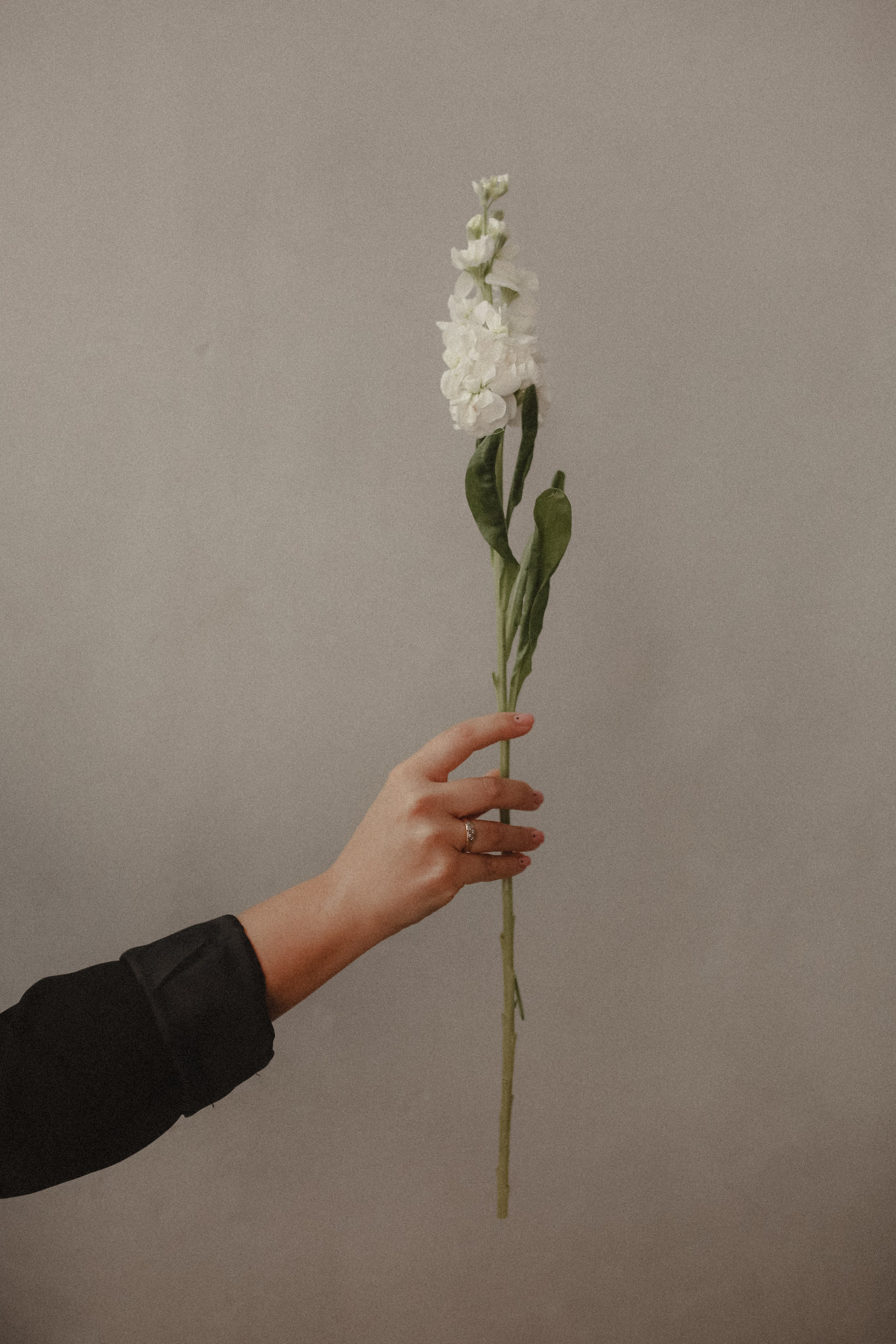 Съемка для Дарьи. Бренд, контент фотограф в Волгограде Елена Даньшина