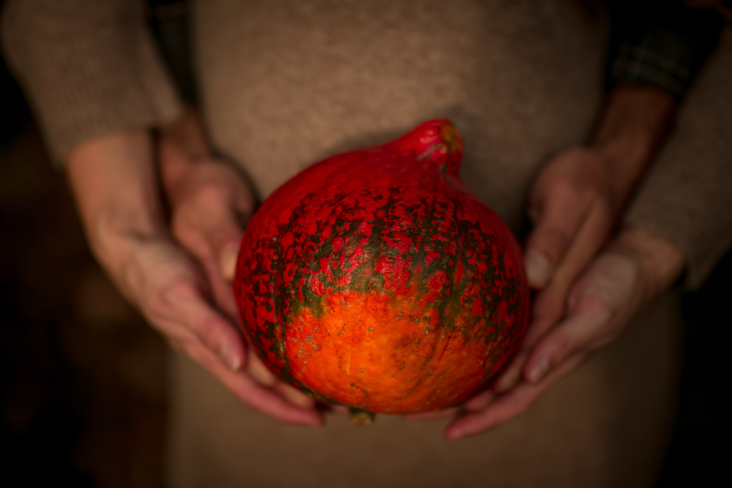 Фотосессия во время беременности. Профессиональный фотограф в Москве, Подмосковье