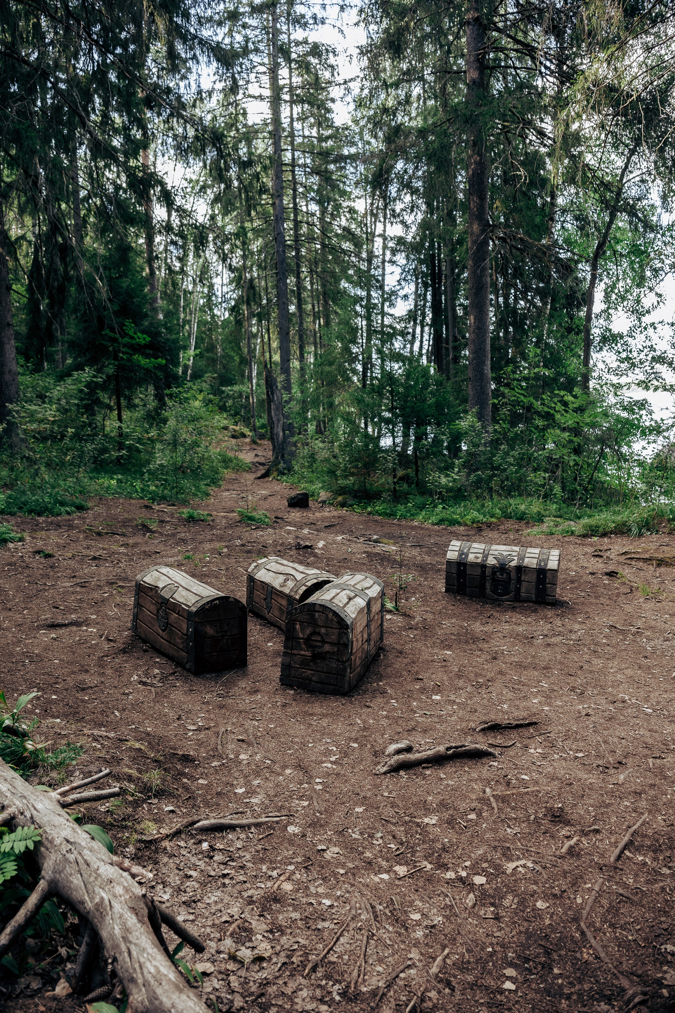 Фотосессия в лесу. Профессиональный фотограф в Санкт-Петербурге Александр Волосенцев