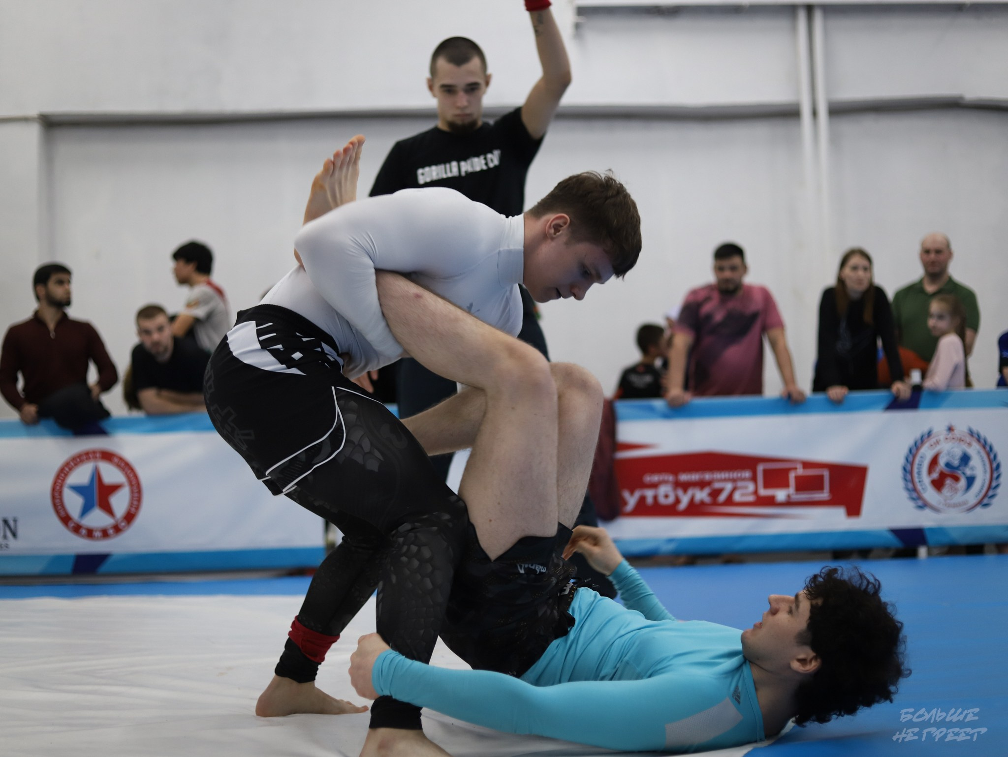 GORILLA PRIDE CUP. Больше не греет