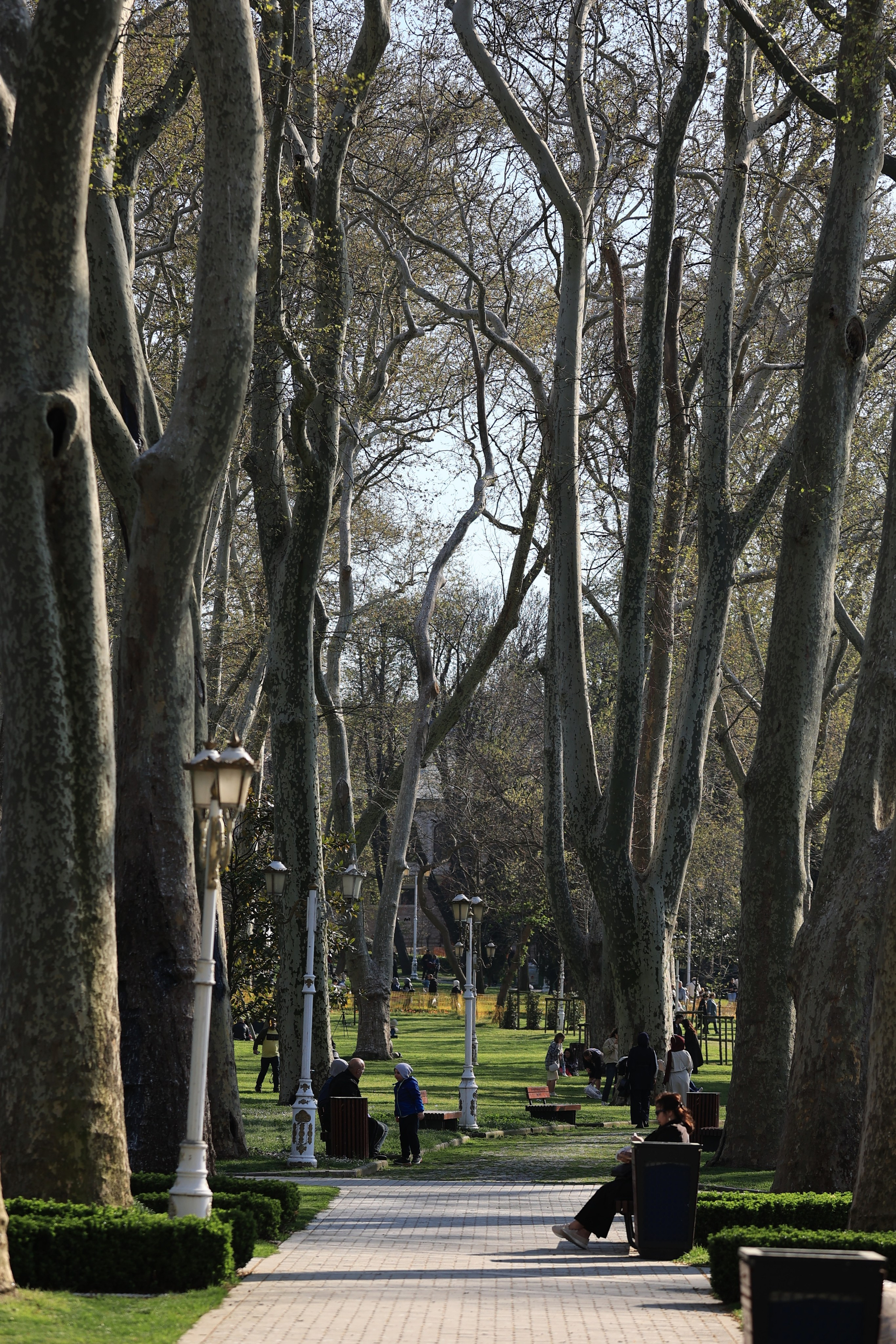 2025 год. Тащилин Сергей. Фотографии. Жизнь. Хобби