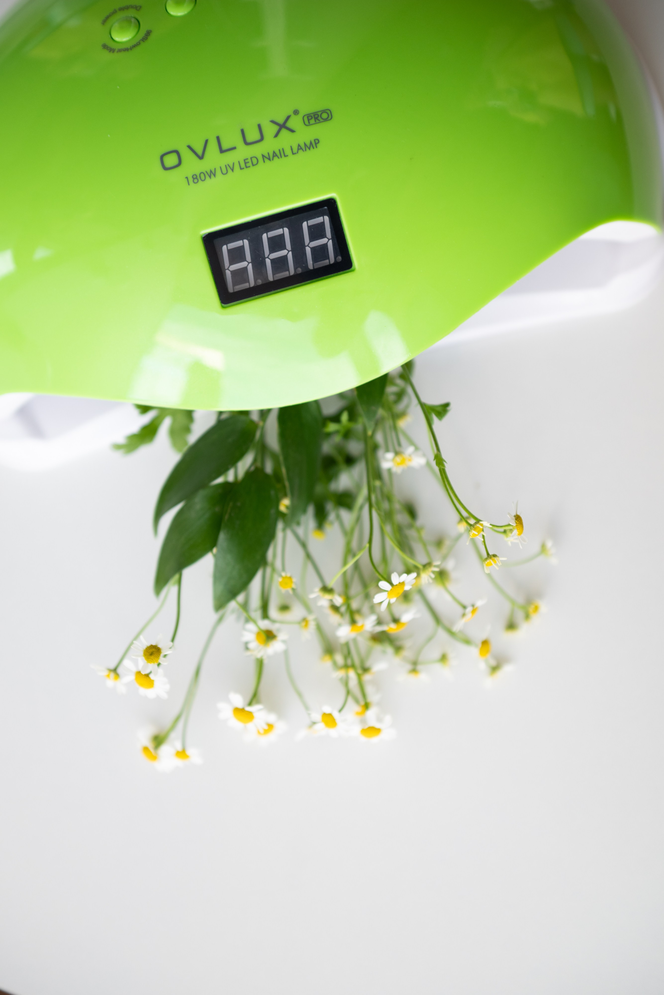 Салон красоты «Лайм». Фотограф Москва Настя Профотовна. Репортажные, свадебные и контент фотосессии