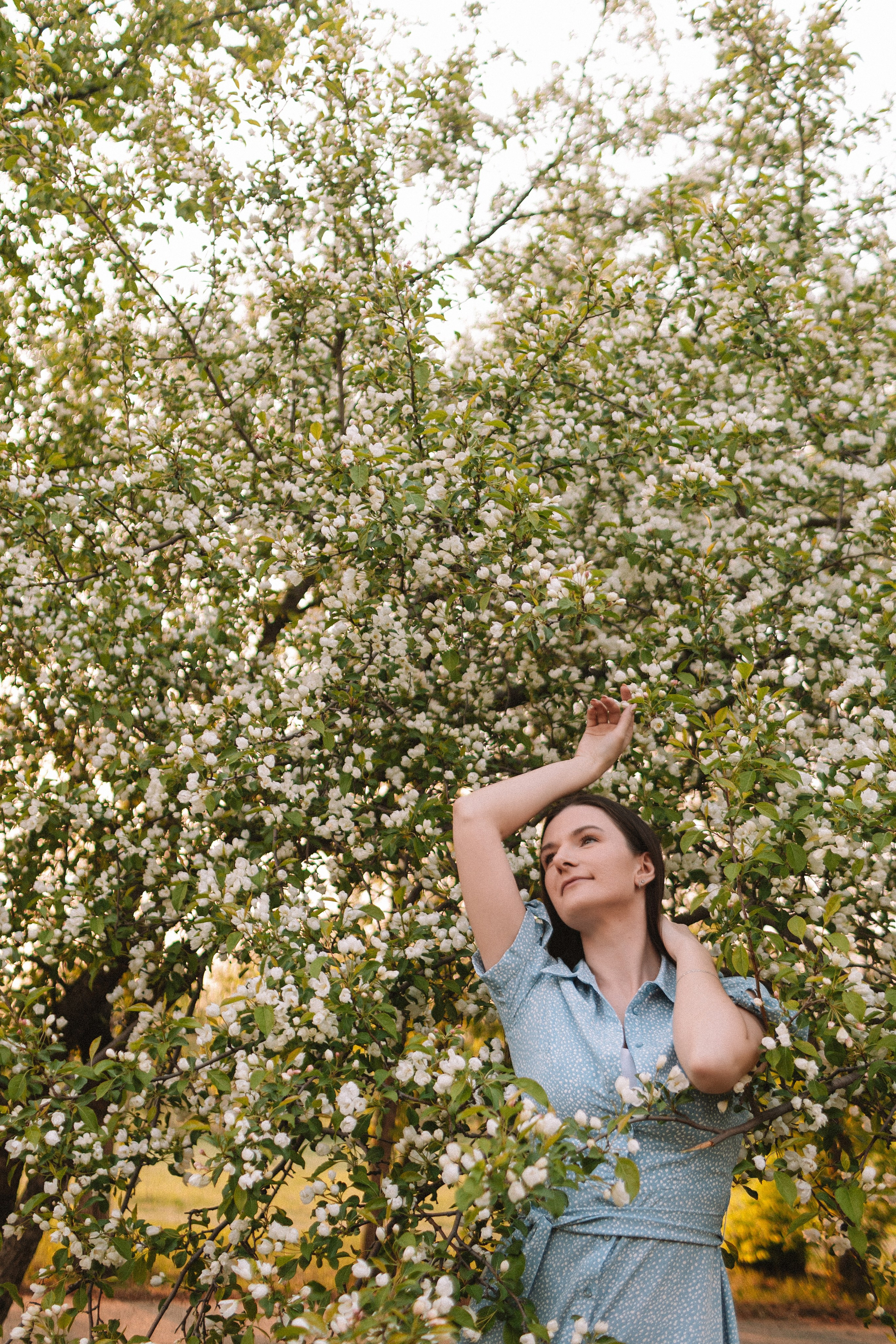Яблони. Семейный фотограф Тюмень, фотограф на роды Салмина Мария