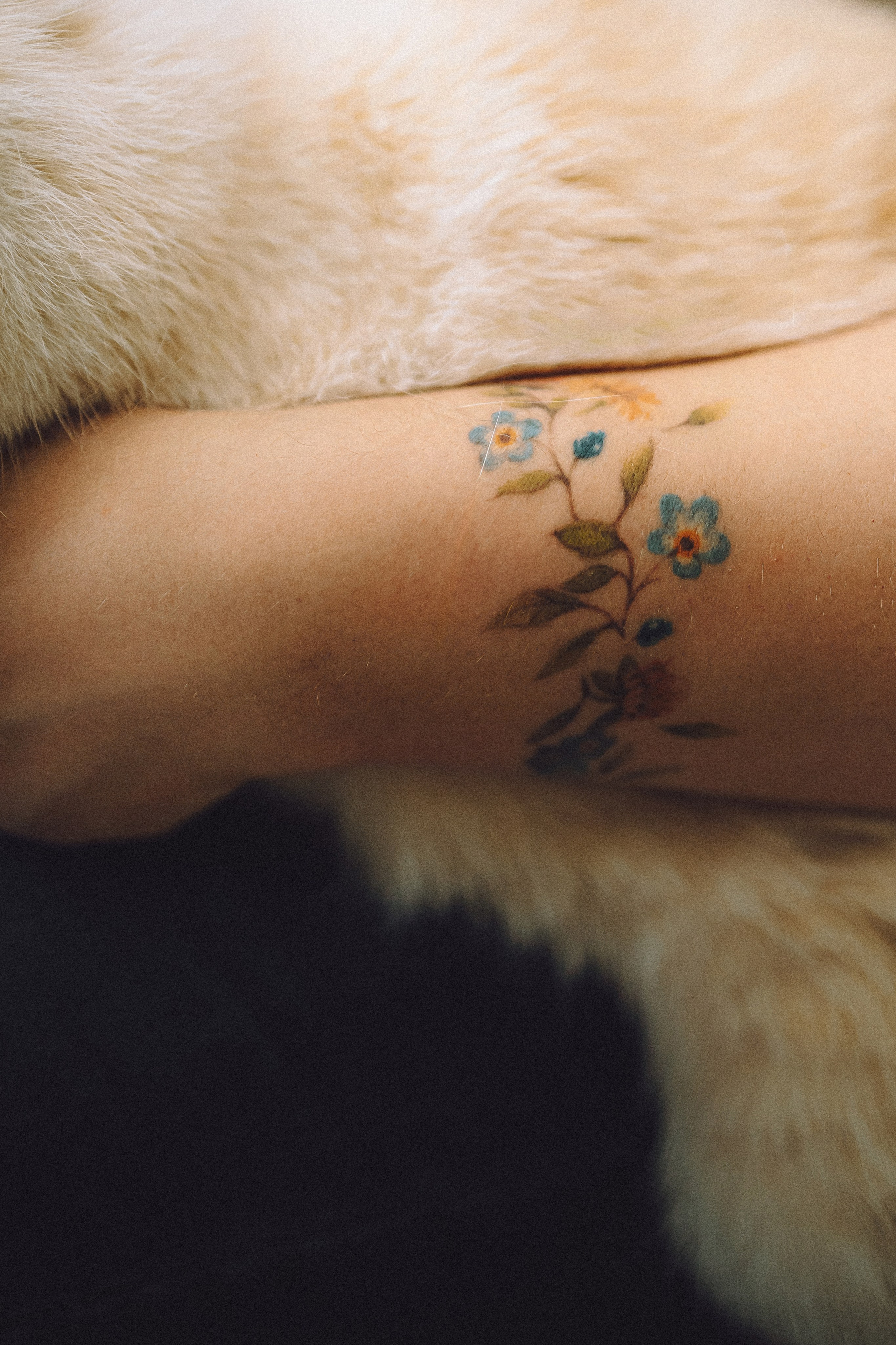 Топик и его семья