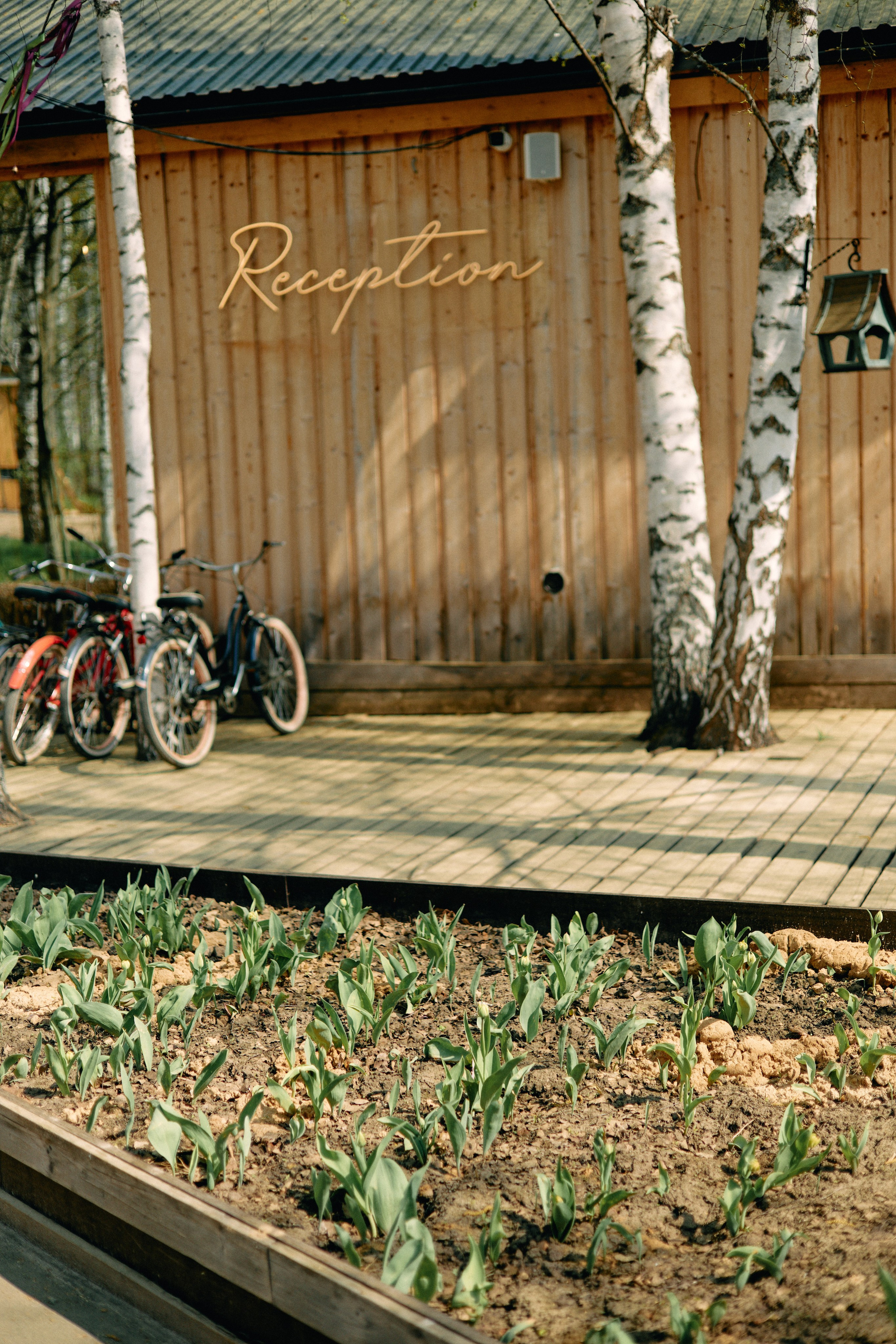 Бутик-отель Поле летом. Профессиональный Фотограф во Владимире, в Москве и в Суздале — Полина Романычева