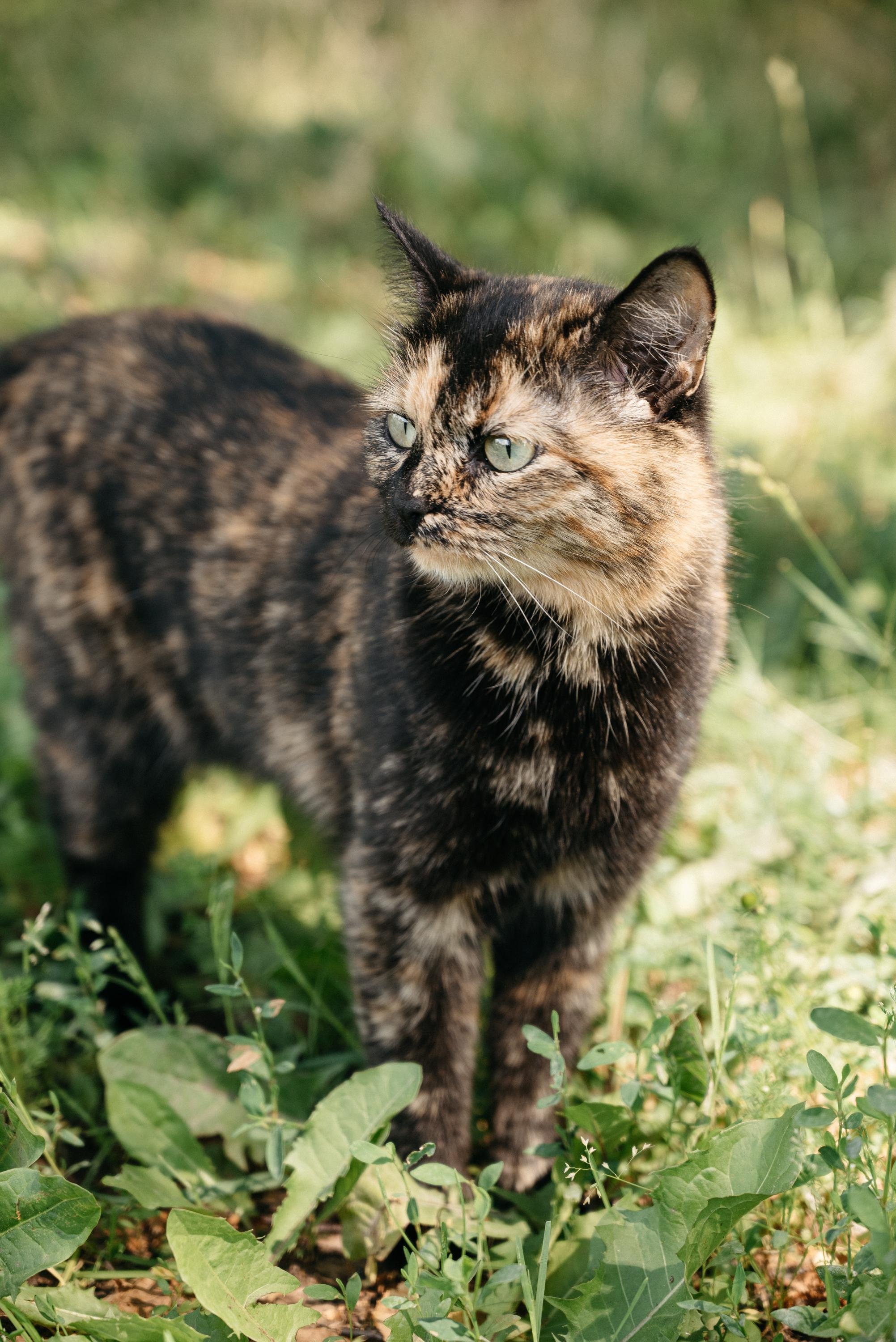 Настя & Паша. Свадебный фотограф Ижевск Петр Шишков