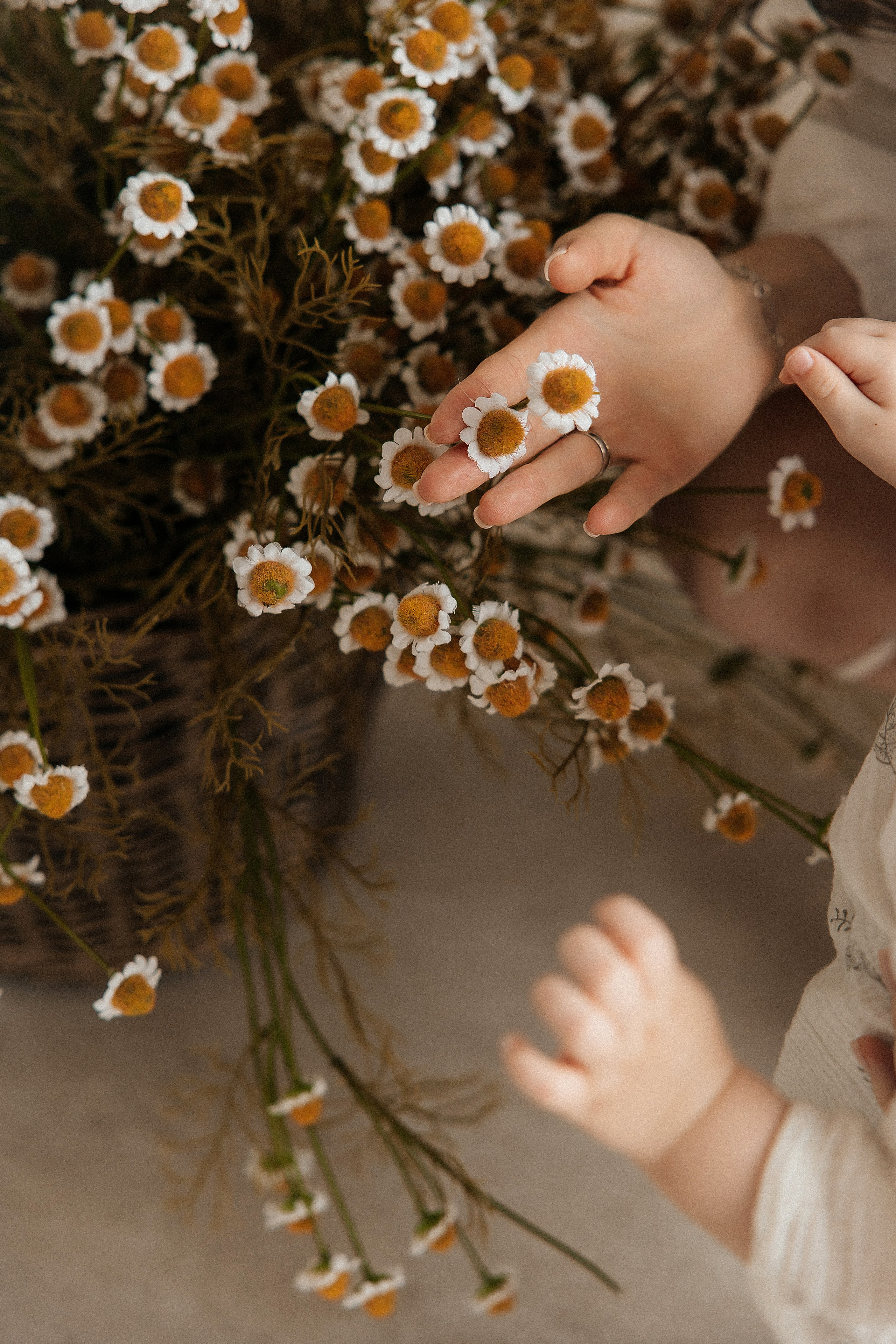 Артем, София, Гордей. Свадебный и семейный фотограф.Екатерина Булич. Красноярск