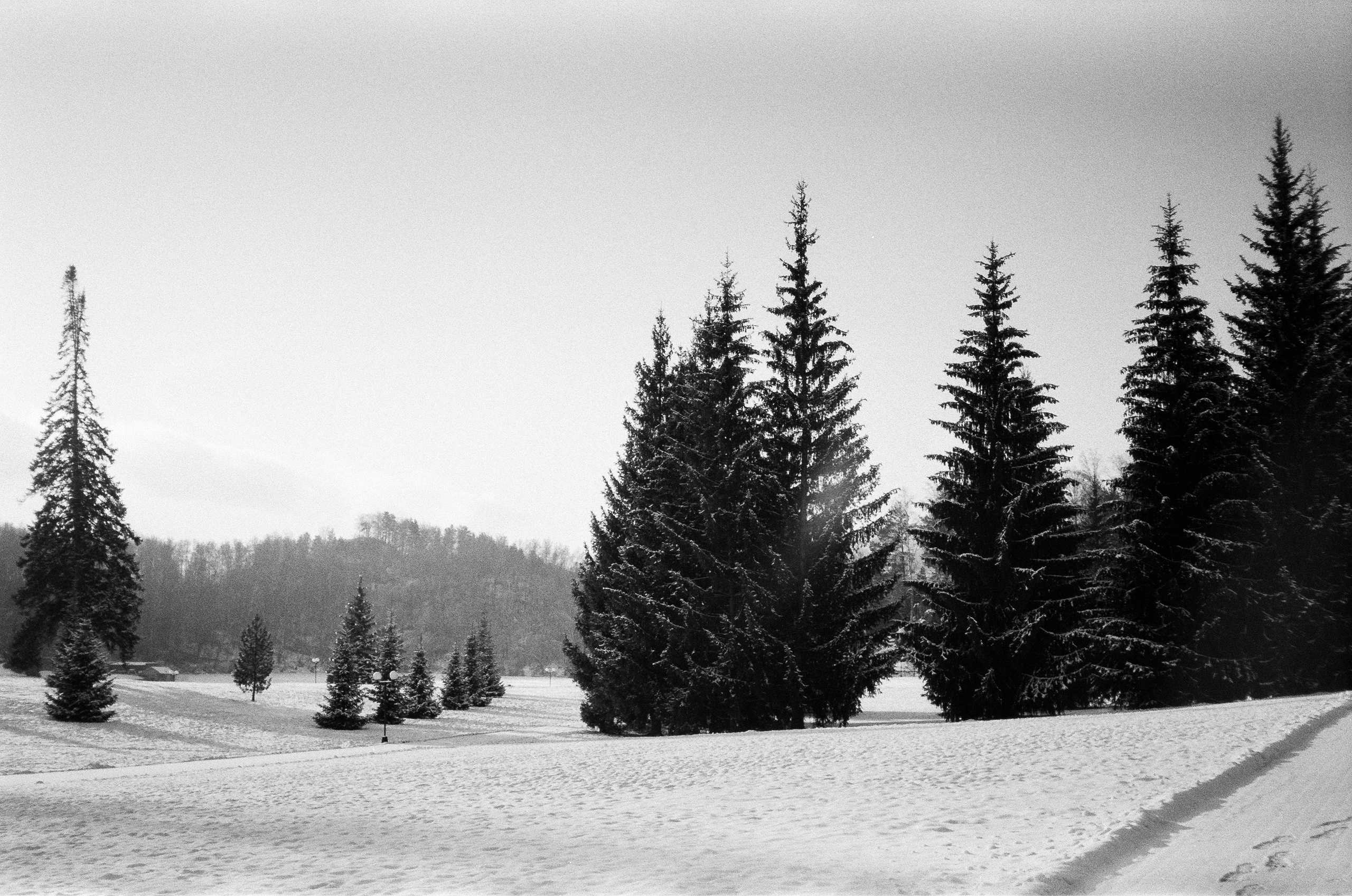 Дорога к горе Чертов палец и озеро Ая. Фотограф-документалист Мария Осокина