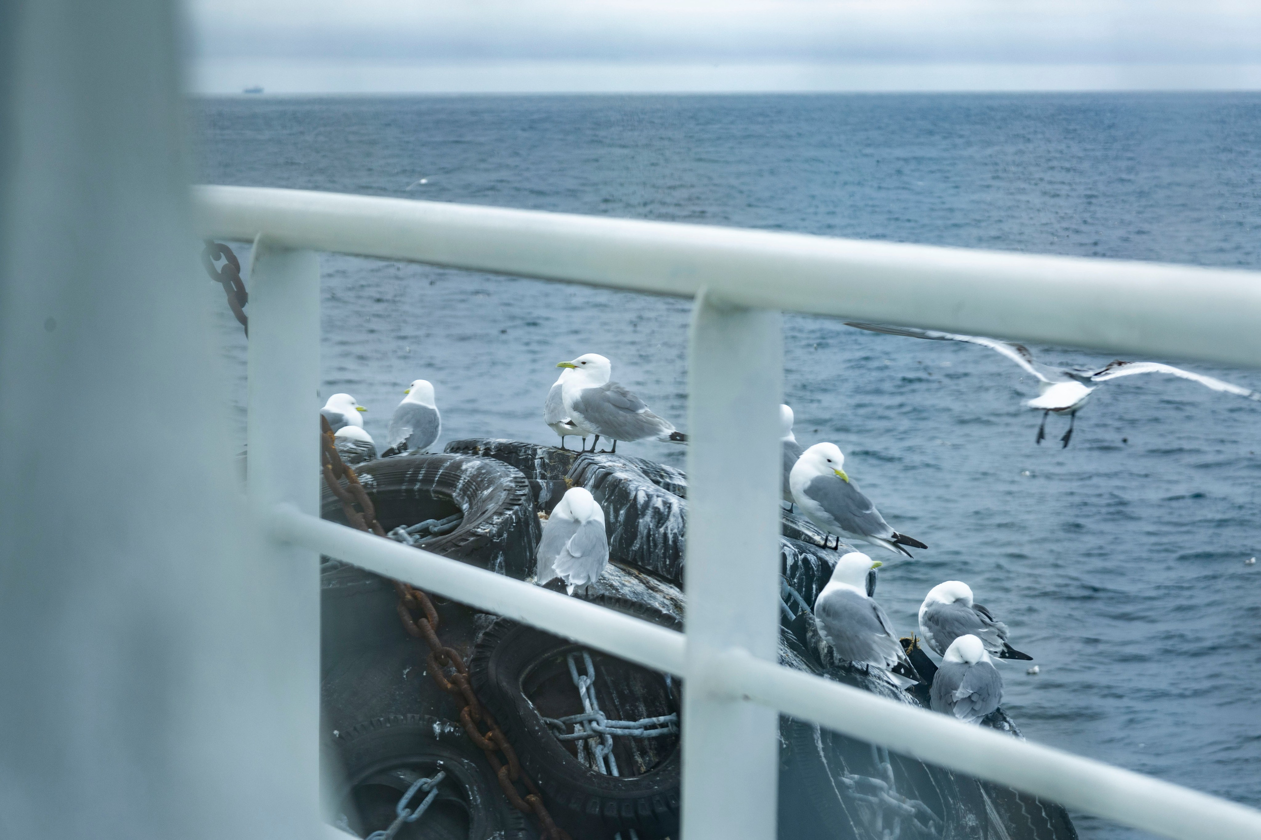 Когда я в море. Часть 2. Фотограф г. Владивосток