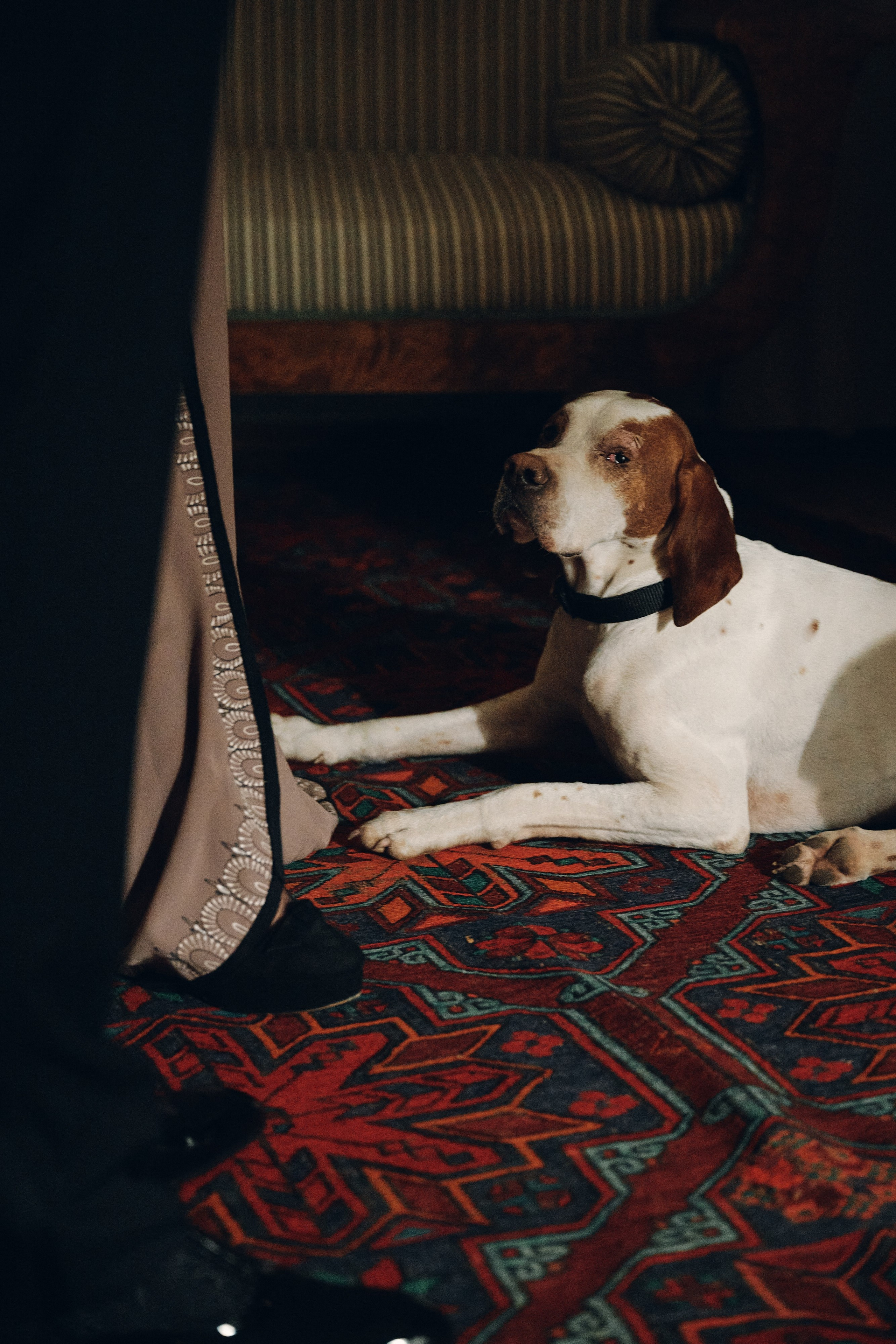 День Рождения Степана. Свадебный фотограф Сергей Фарковец