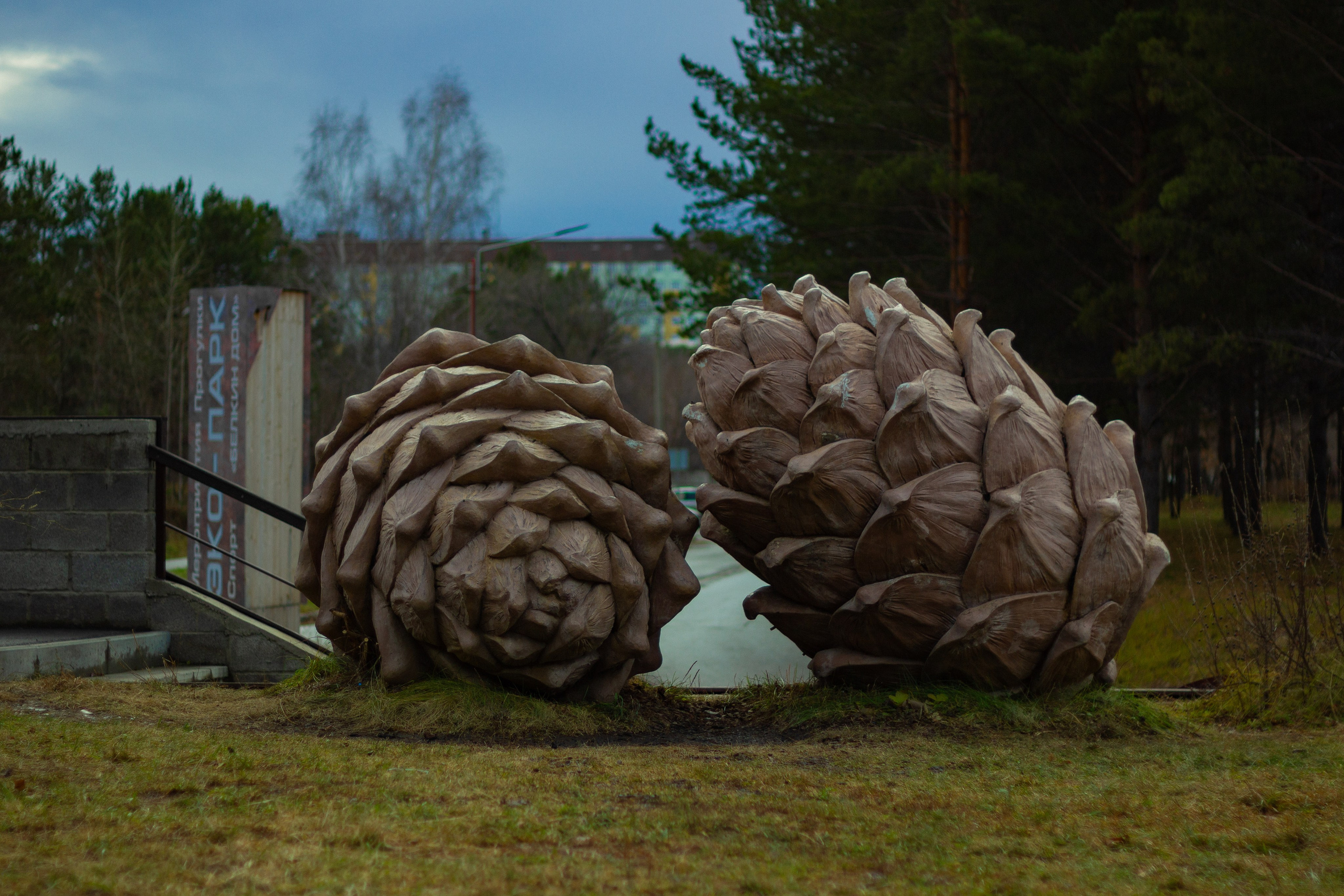 04.11.2024 | Сосновоборск. Kuznetsov | Фотограф в Красноярске