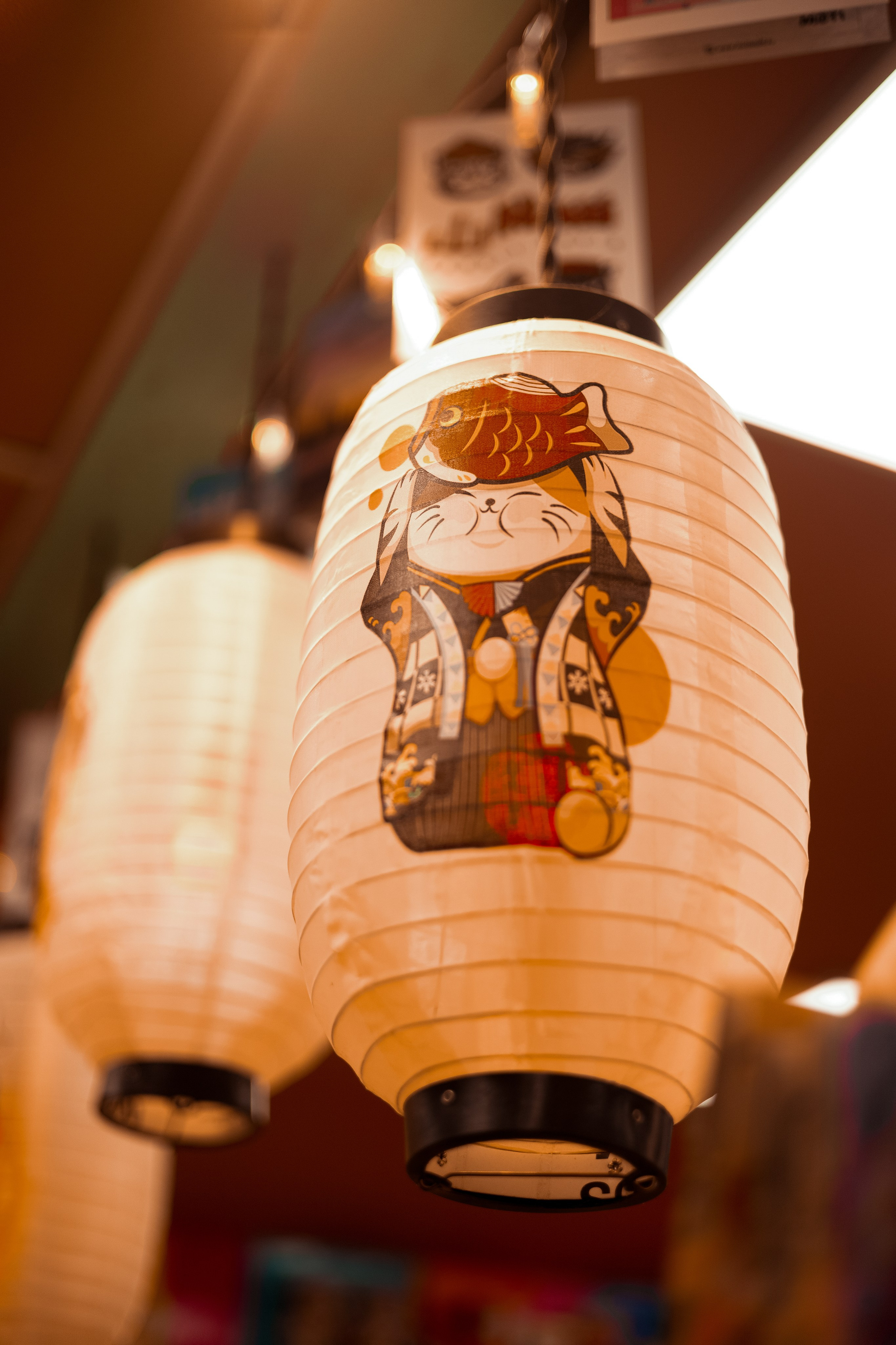 Алла. Gorbunova Alina Фотограф