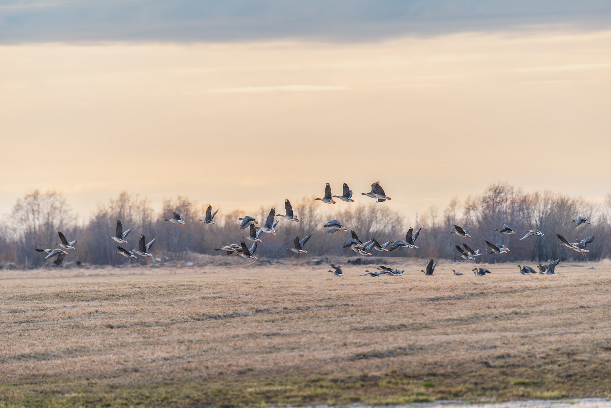 Пейзаж. Аэросъемка в Архангельске, Александр Ермолин
