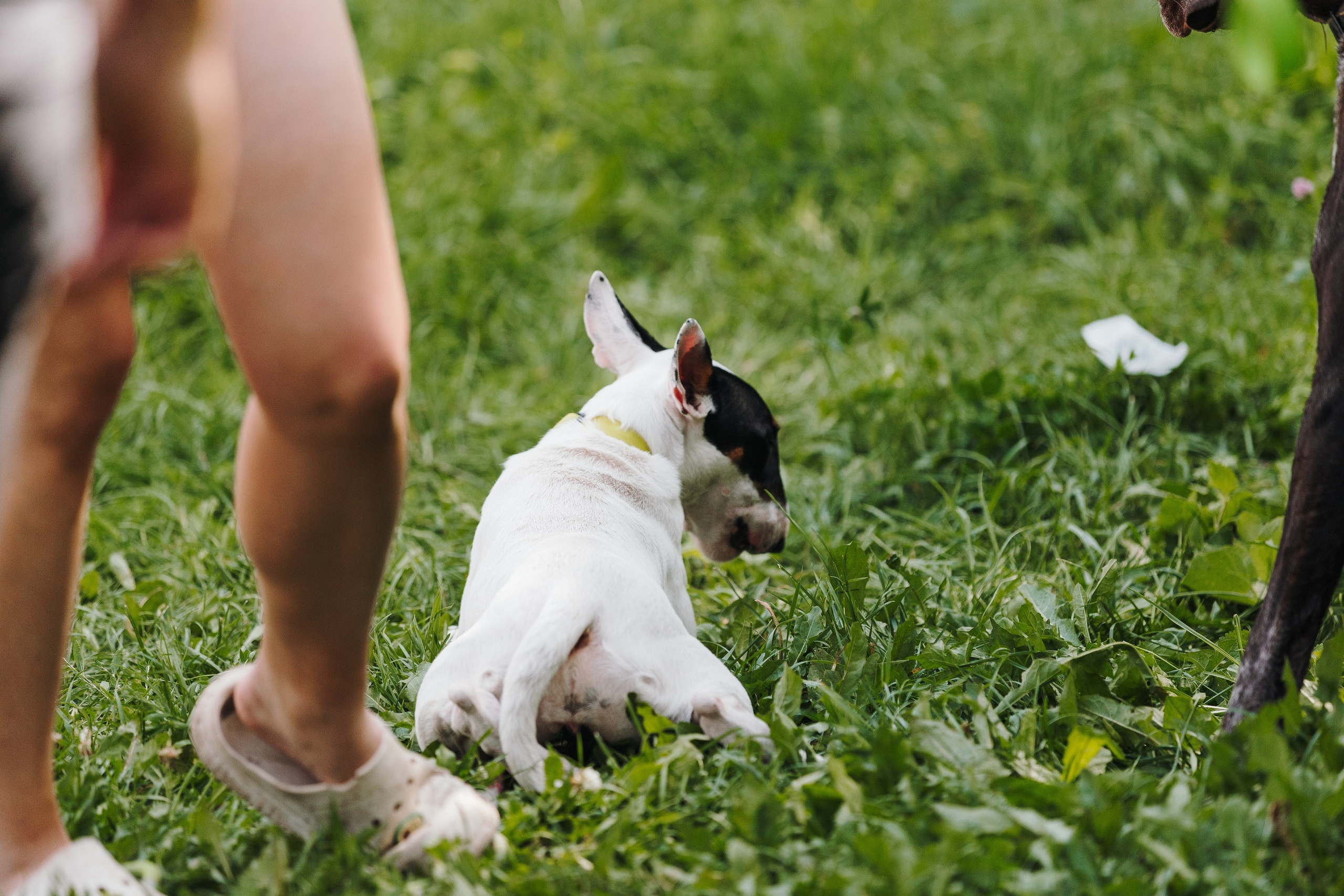 Petshop Sup day. Фотограф анималист Кристина Карпова, Москва
