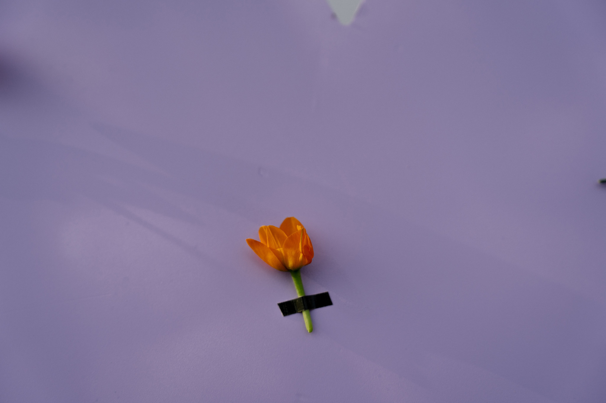 Андрей & Александра. Бодрум. Оформление свадеб, декор свадеб Вера Маркова, Москва