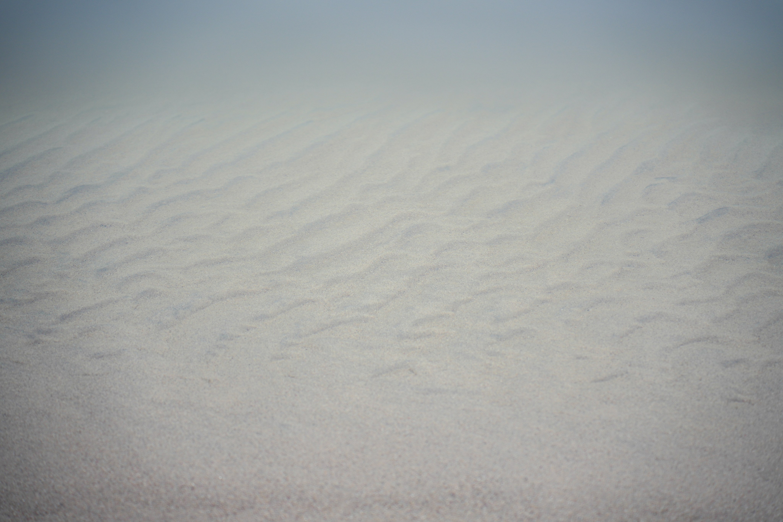 Arseniy Karchevskiy I Photographer