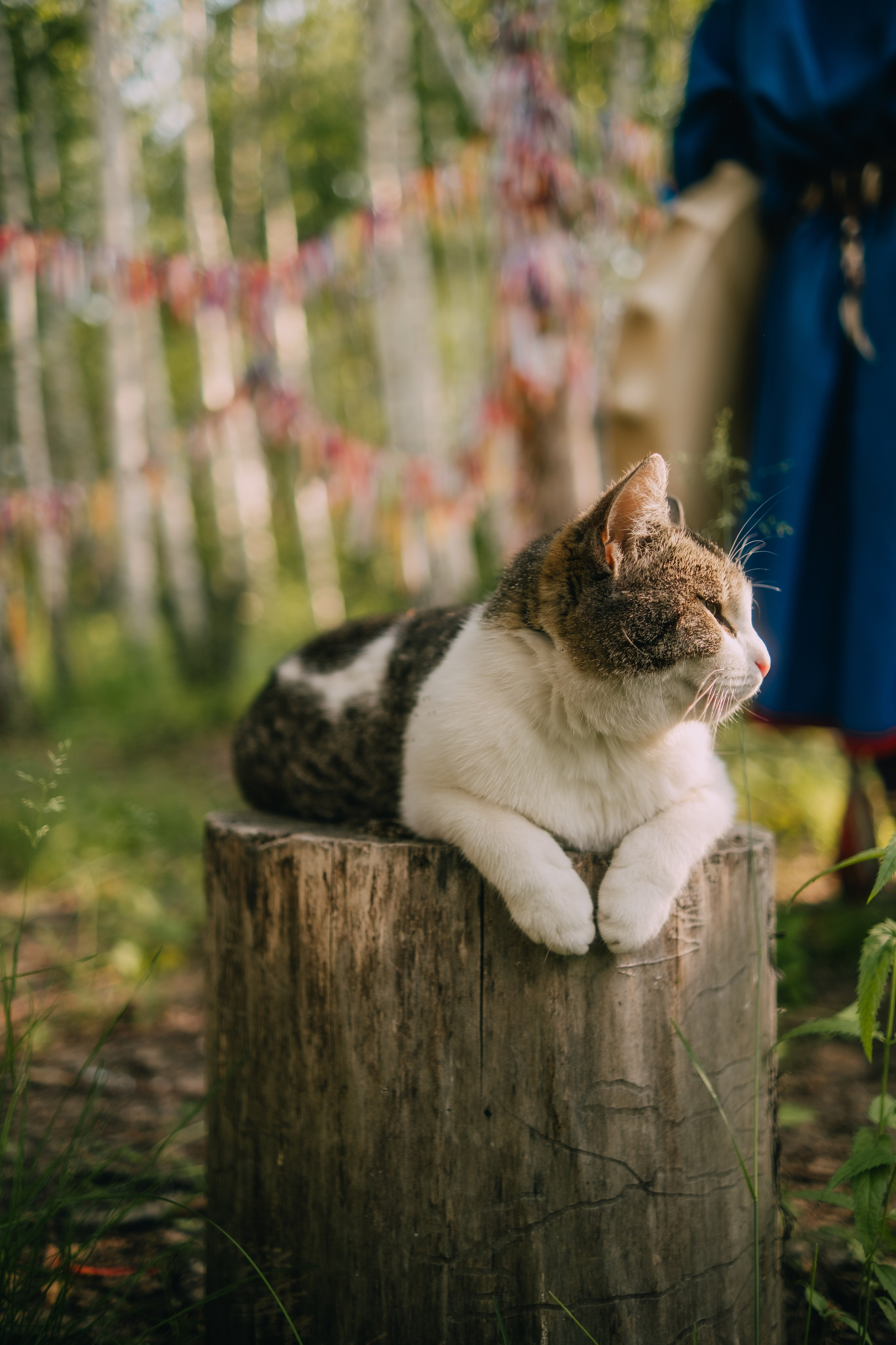 Выезд на этностойбище ресторан — музей «Чум». Фотограф в Тюмени Кирилл Марфин