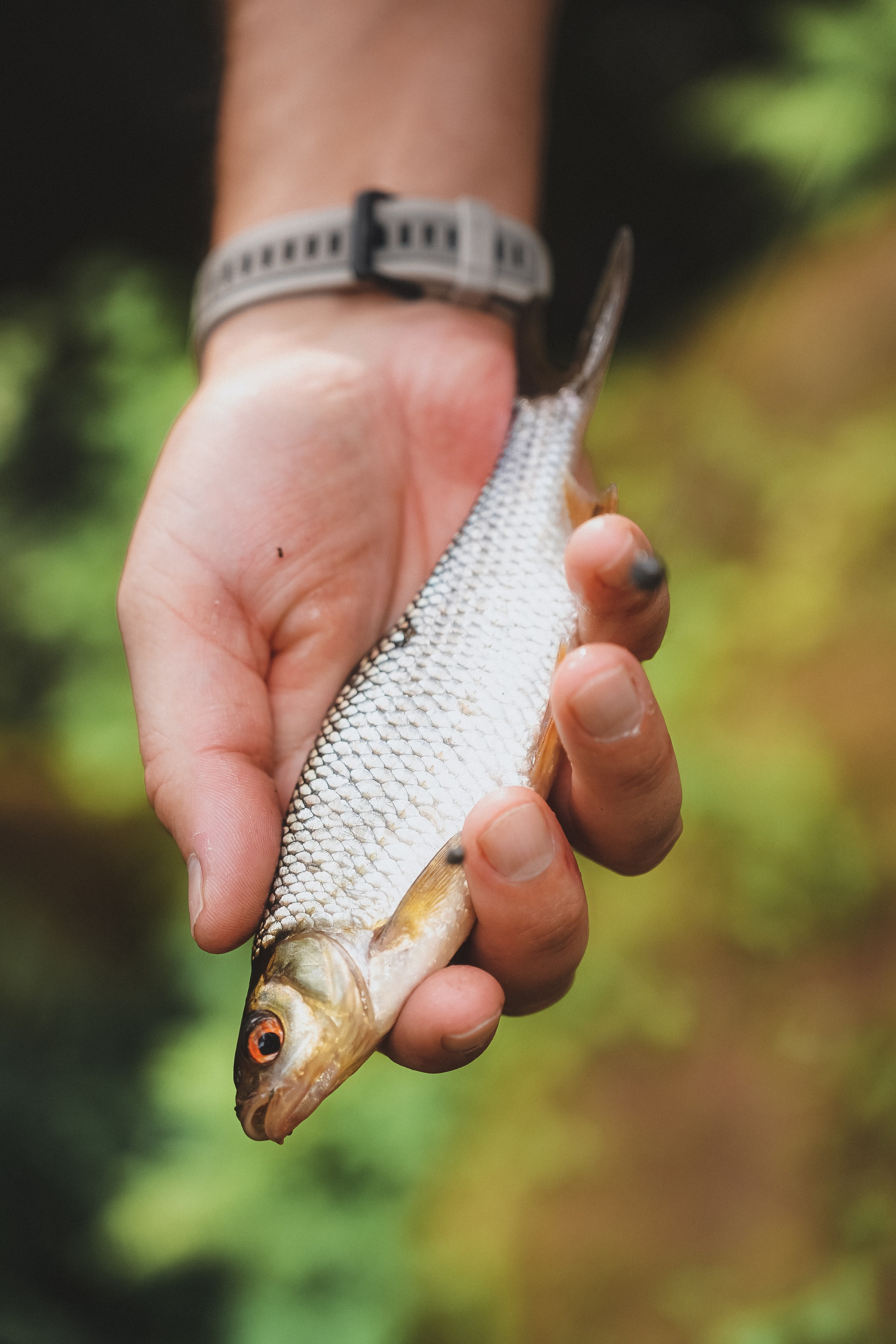 Репортажная съемка от Виктории Гуриной. Фотограф Санкт-Петербург Виктория Гурина