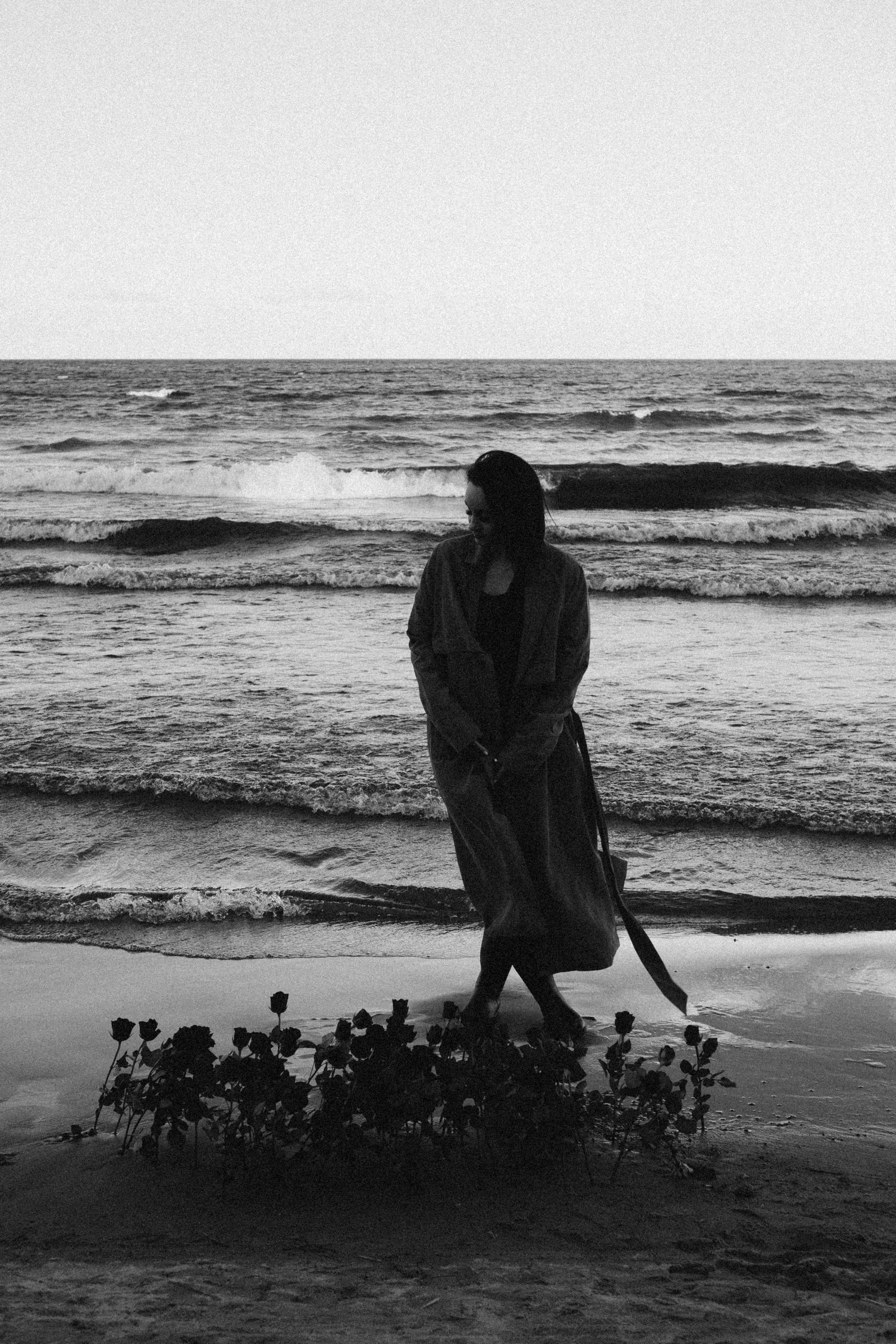 Розы. Профессиональный фотограф, Санкт-Петербург — Виктория Богомолова