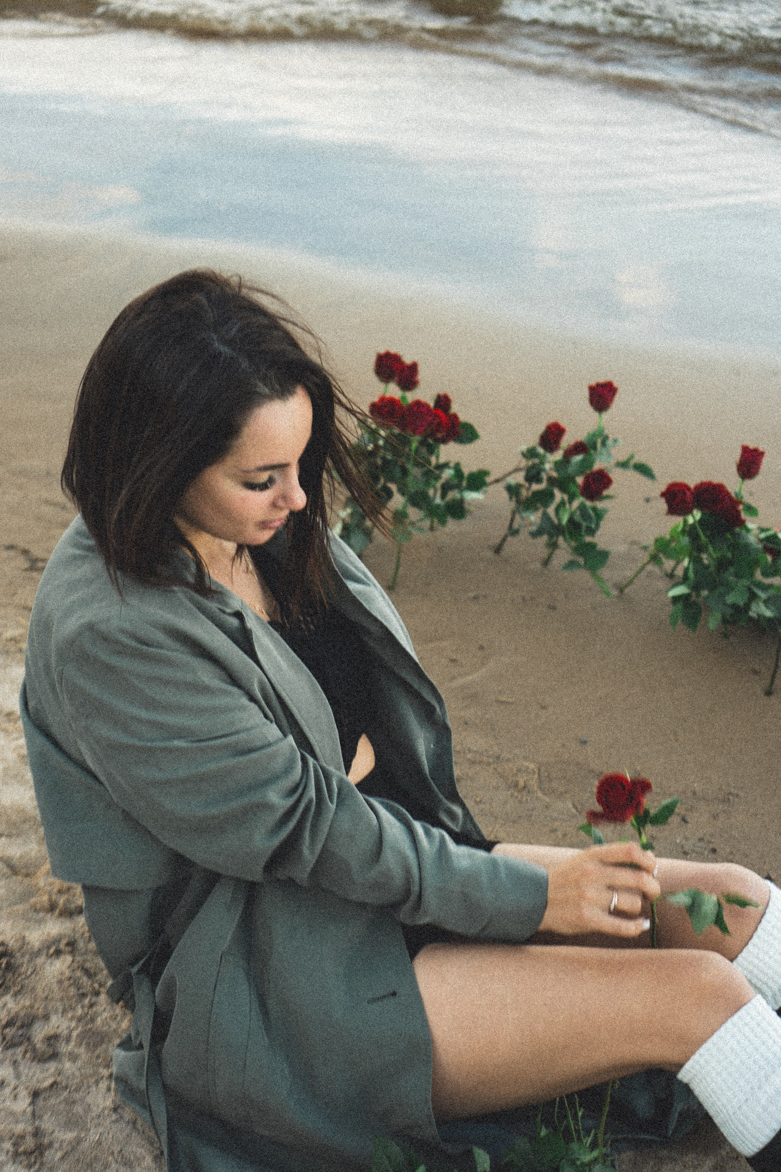 Розы. Профессиональный фотограф, Санкт-Петербург — Виктория Богомолова