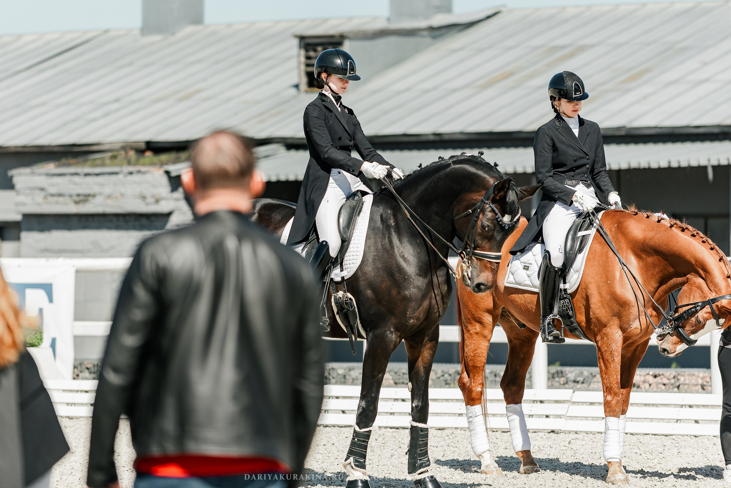 РЕПОРТАЖ МКК ВОЛЬТ «LA TULIPS». Конный фотограф Куракина Дарья • Фотосессии с лошадьми