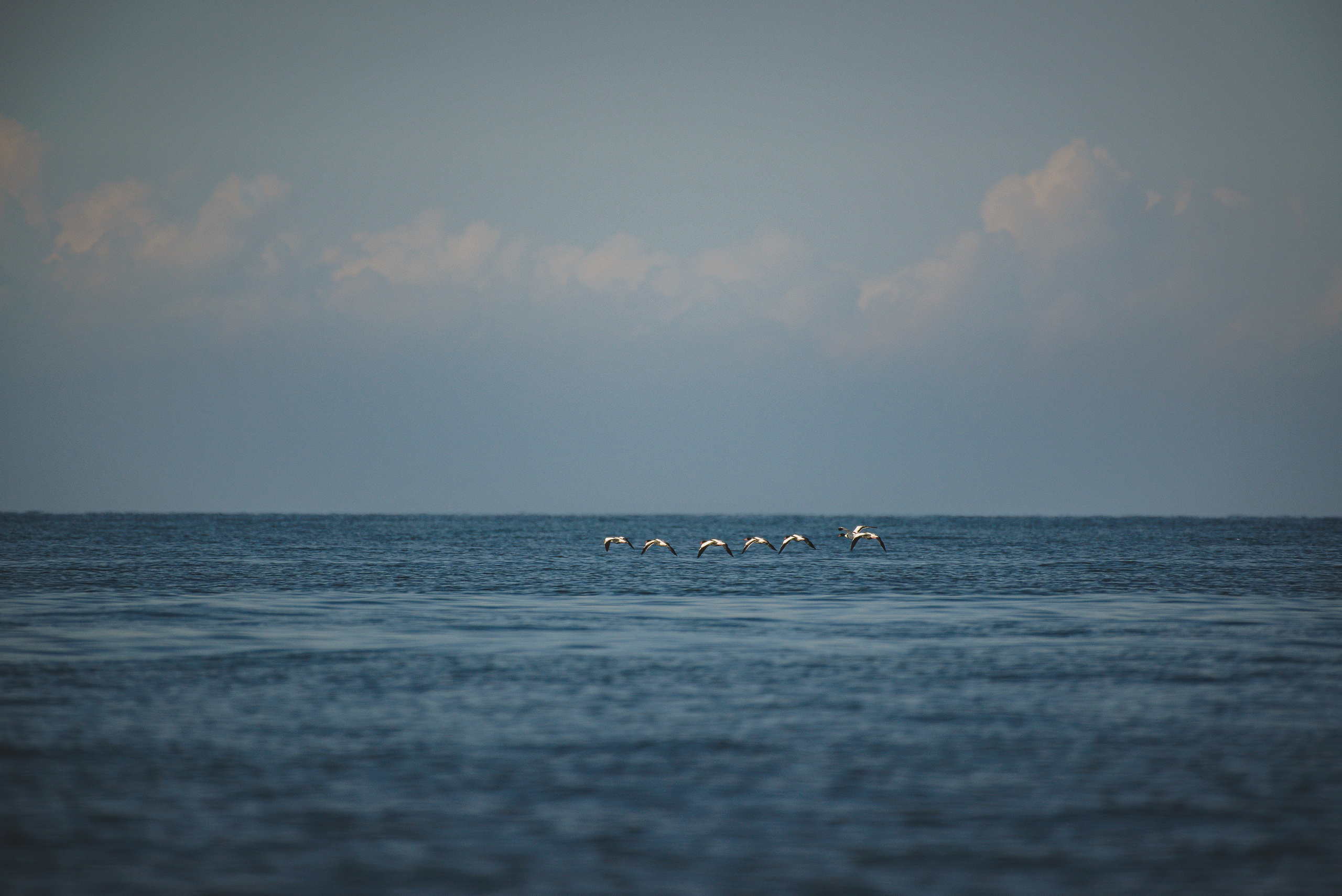 Универсальный фотограф в Крыму
