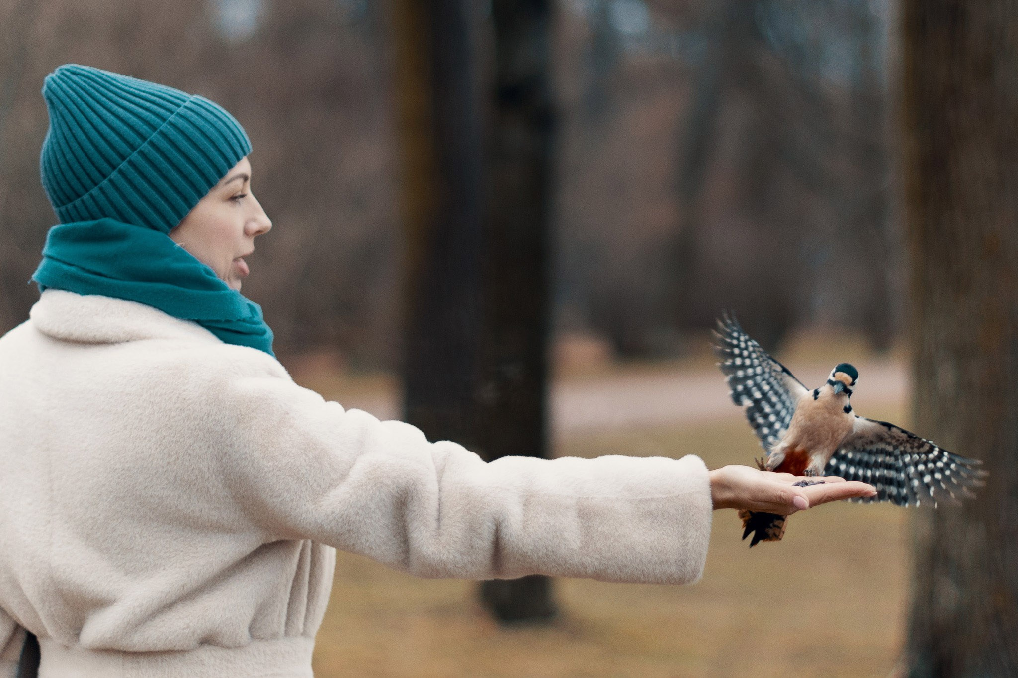 Екатерининский Парк (Царское Село). Фотограф Валерий Сабрам