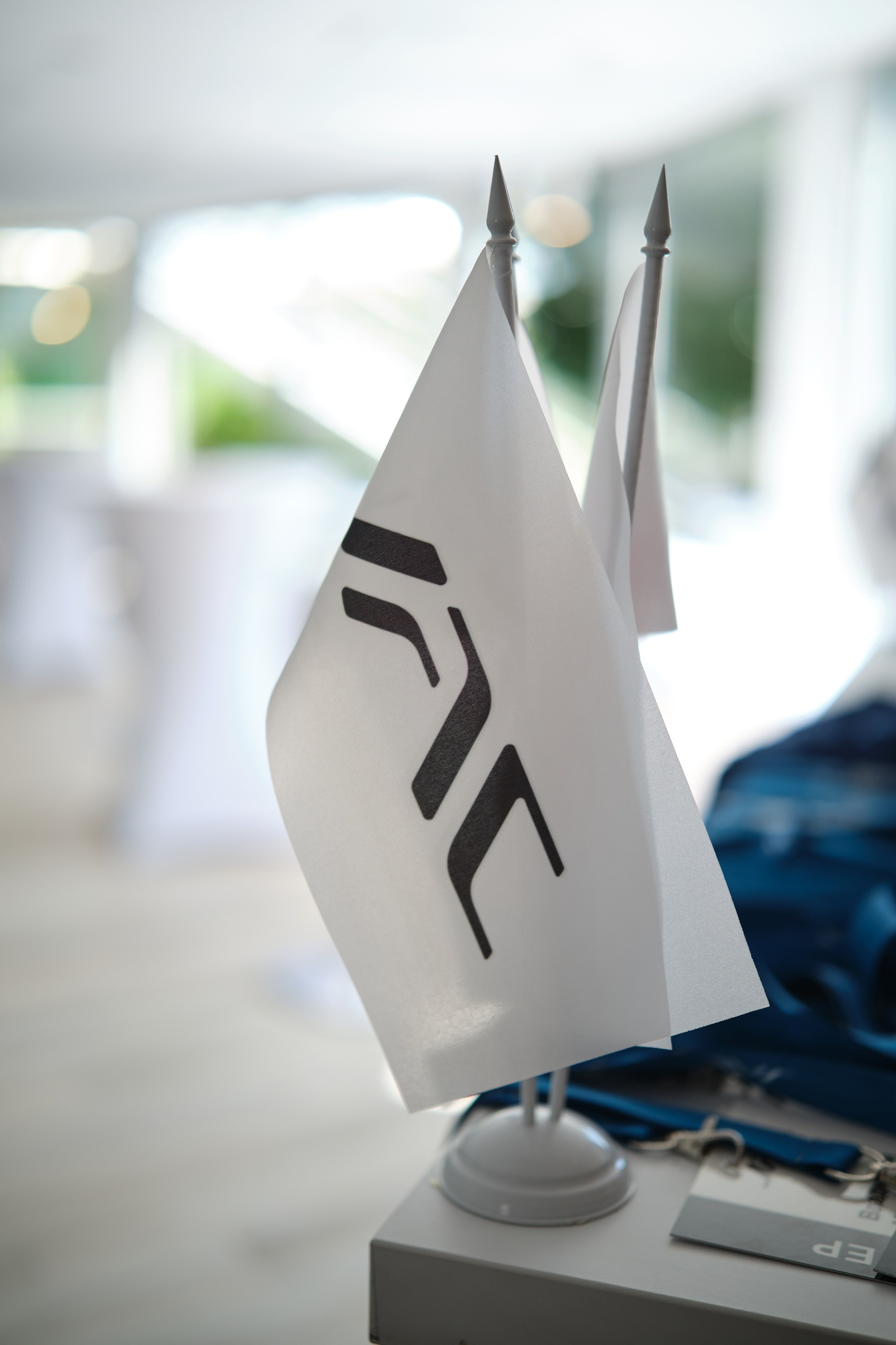 Презентация электромобиля JAC E30X в IBB Hotel. Репортажный фотограф Дмитрий Литвинский. Минск, Беларусь, мир