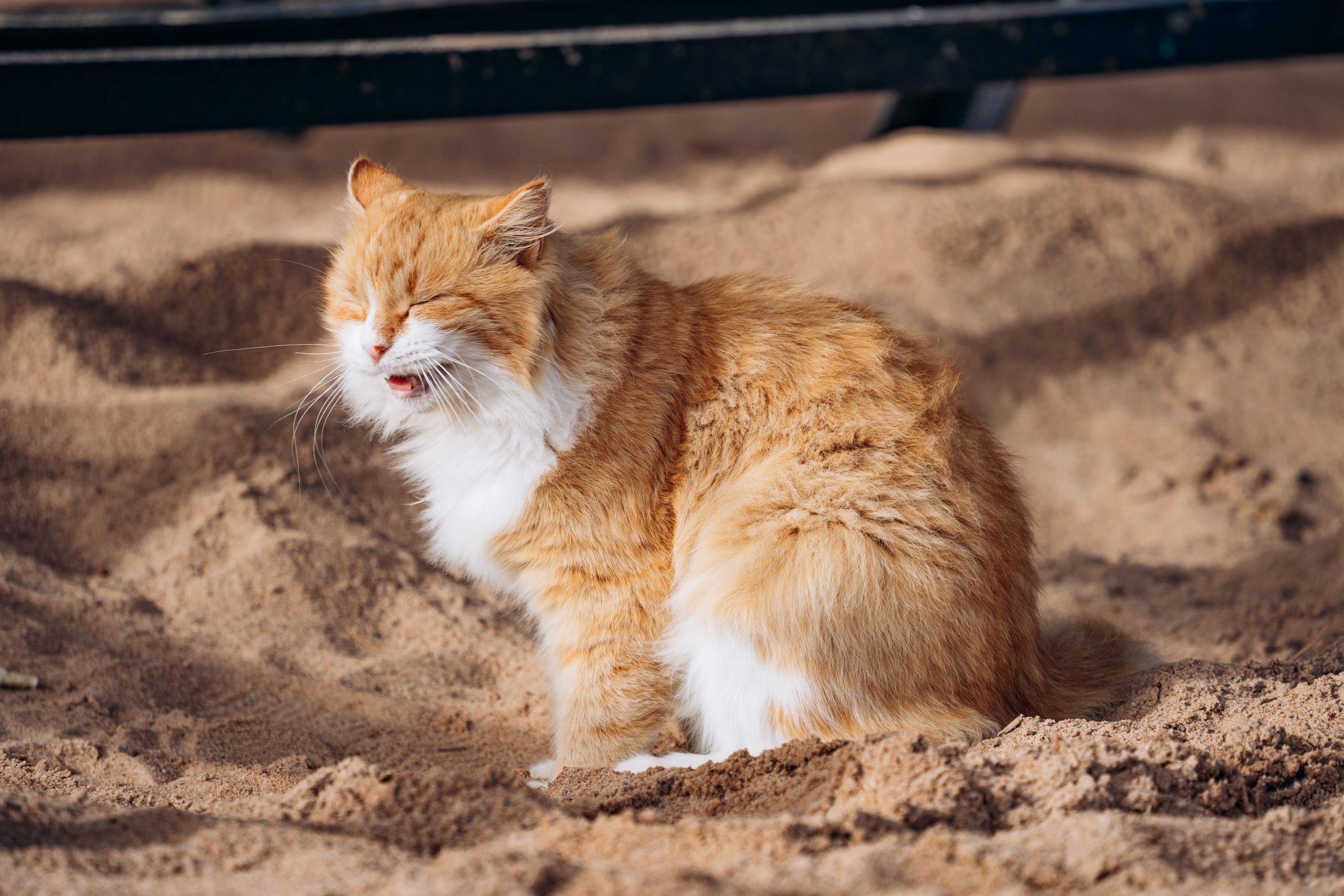 СЕВЕР. Event фотограф Степанова Александра