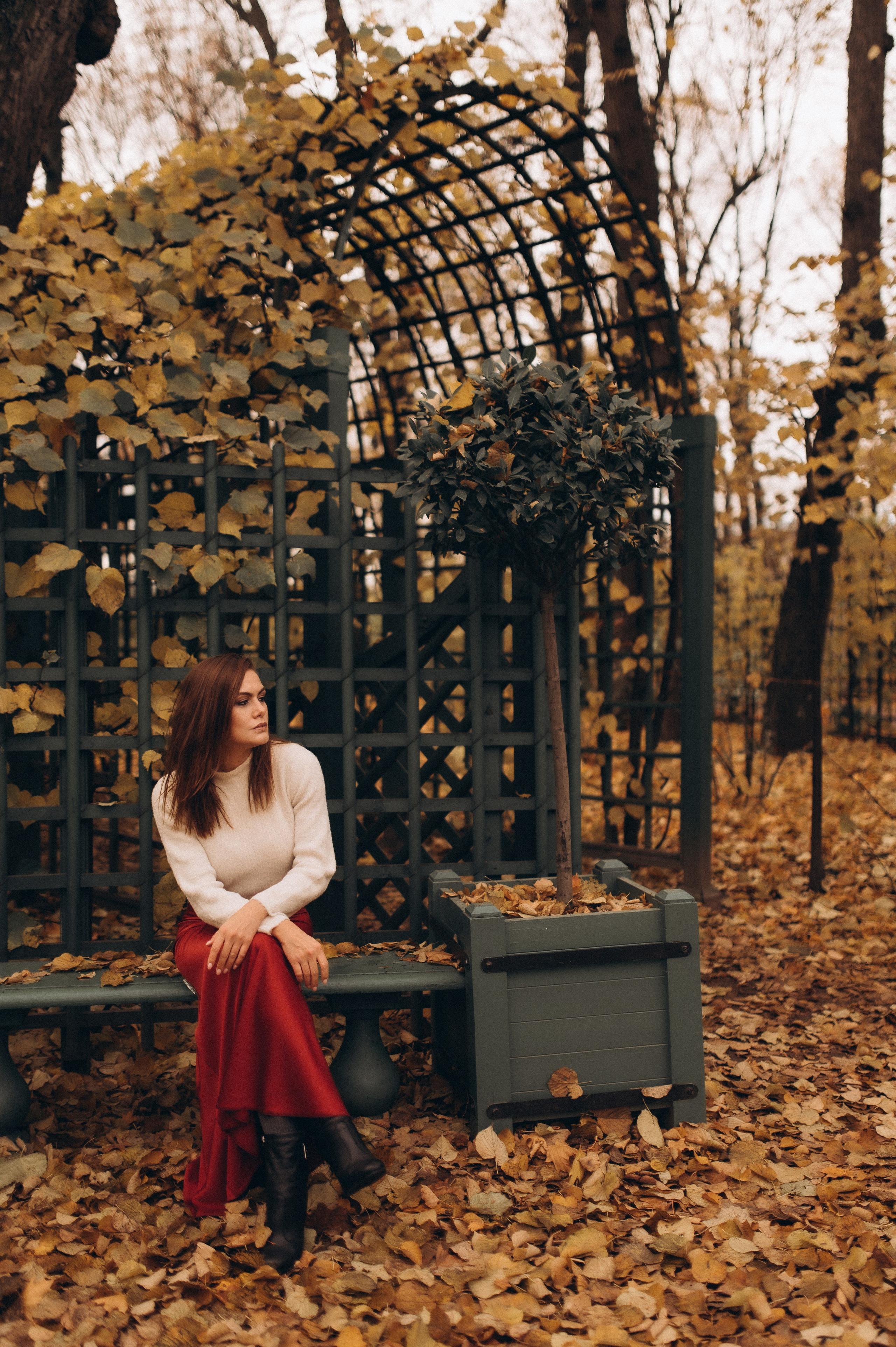 Осенняя индивидуальная фотопрогулка летний сад. Фотограф ПИТЕР СПБ Надежда Баранова