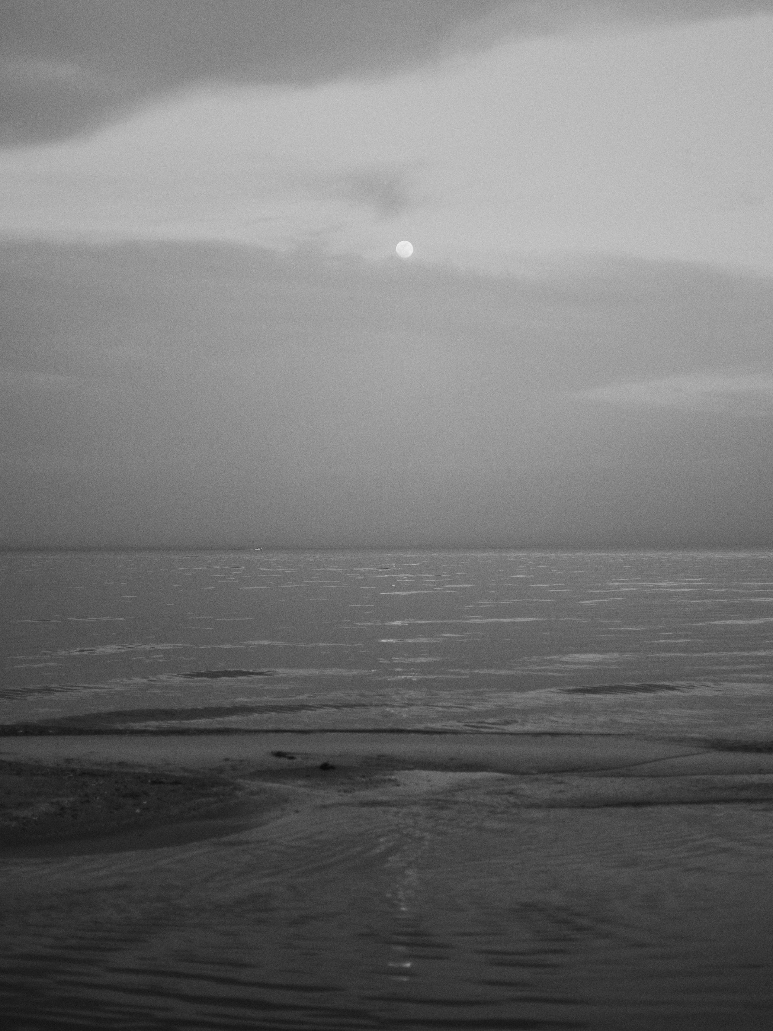 B&W. Jorgis — фотограф в Хургаде / обучение фотографии