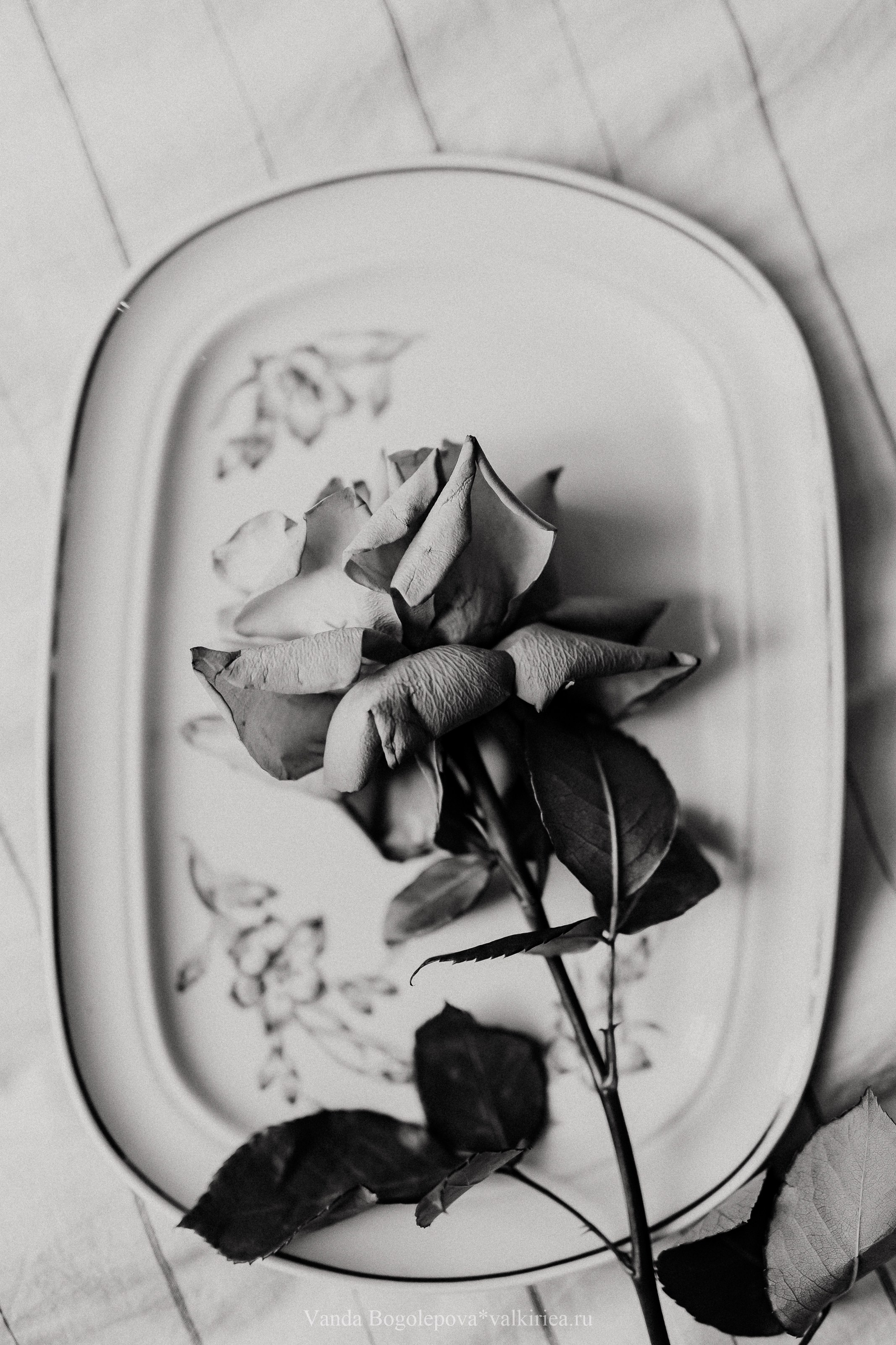 Анастасия. Будуарная съемка. Фотосъемка, свадебная фотосъемка, Москва, Нижний Новгород